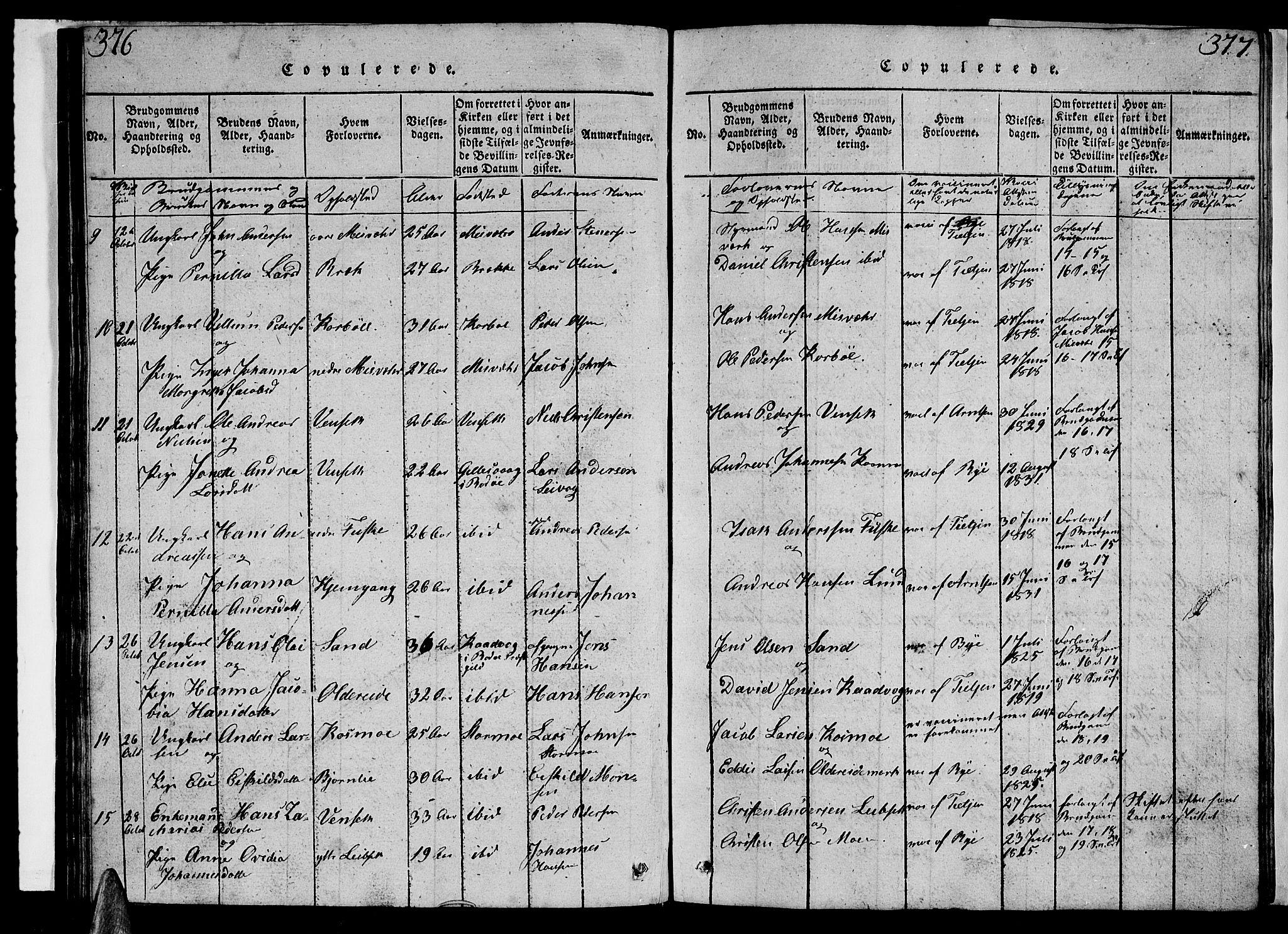 Ministerialprotokoller, klokkerbøker og fødselsregistre - Nordland, AV/SAT-A-1459/852/L0752: Parish register (copy) no. 852C03, 1840-1855, p. 376-377