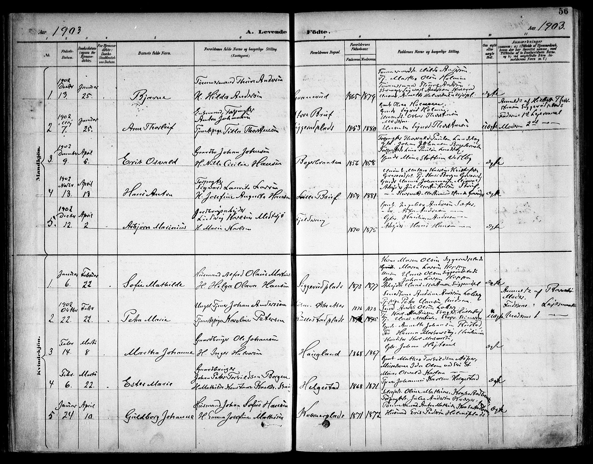 Kråkstad prestekontor Kirkebøker, SAO/A-10125a/F/Fb/L0002: Parish register (official) no. II 2, 1893-1917, p. 56