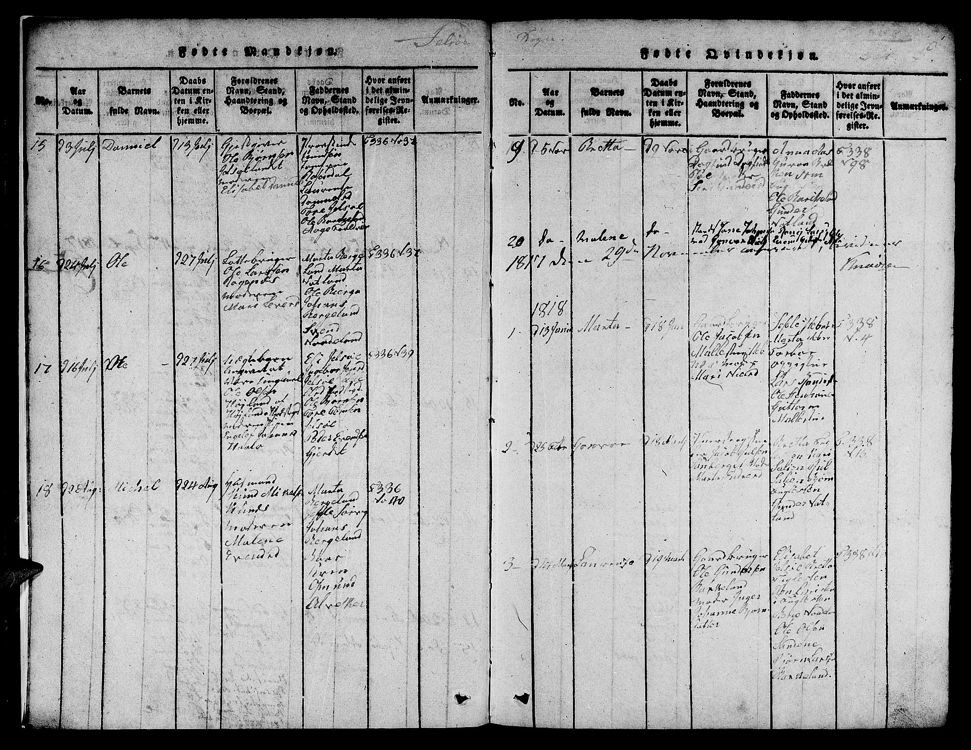 Jelsa sokneprestkontor, AV/SAST-A-101842/01/V: Parish register (copy) no. B 1 /1, 1816-1828, p. 5