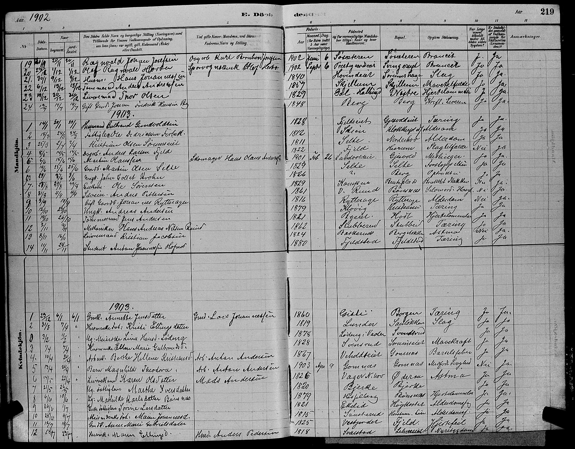 Hole kirkebøker, SAKO/A-228/G/Ga/L0003: Parish register (copy) no. I 3, 1879-1904, p. 219