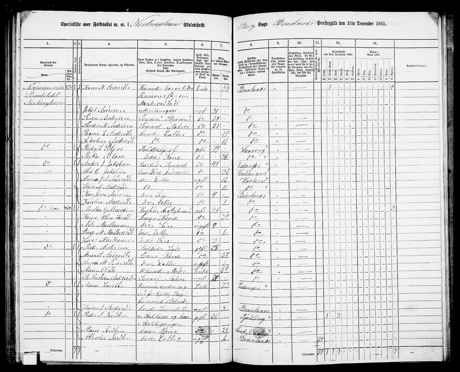 RA, 1865 census for Brunlanes, 1865, p. 145