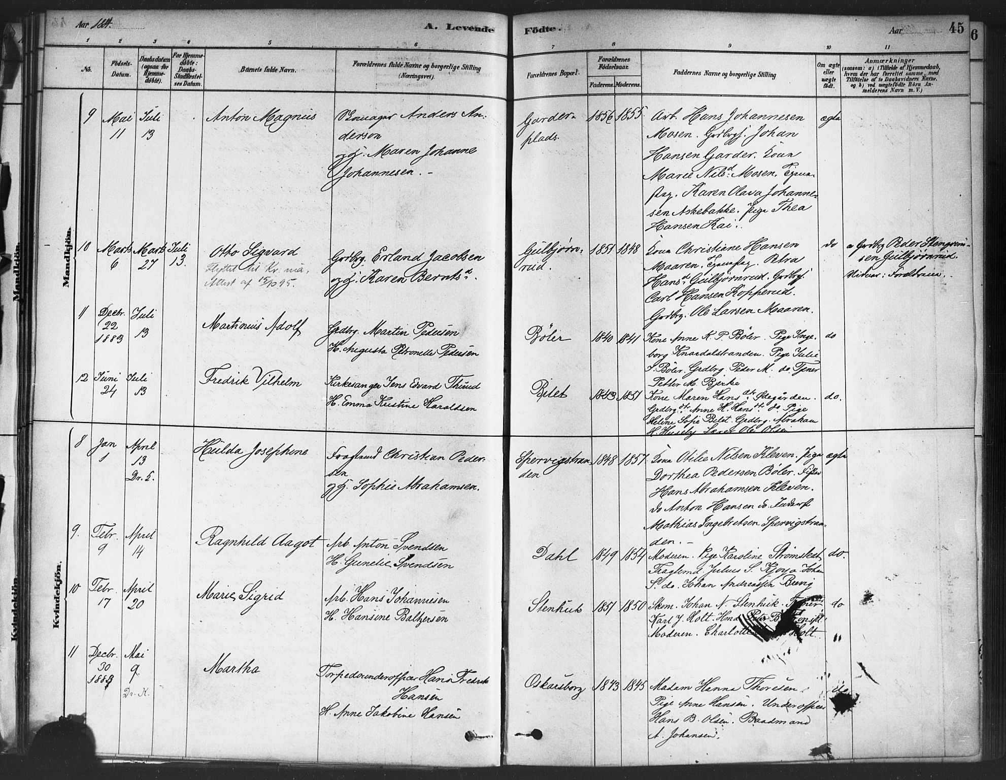 Drøbak prestekontor Kirkebøker, AV/SAO-A-10142a/F/Fc/L0002: Parish register (official) no. III 2, 1878-1891, p. 45