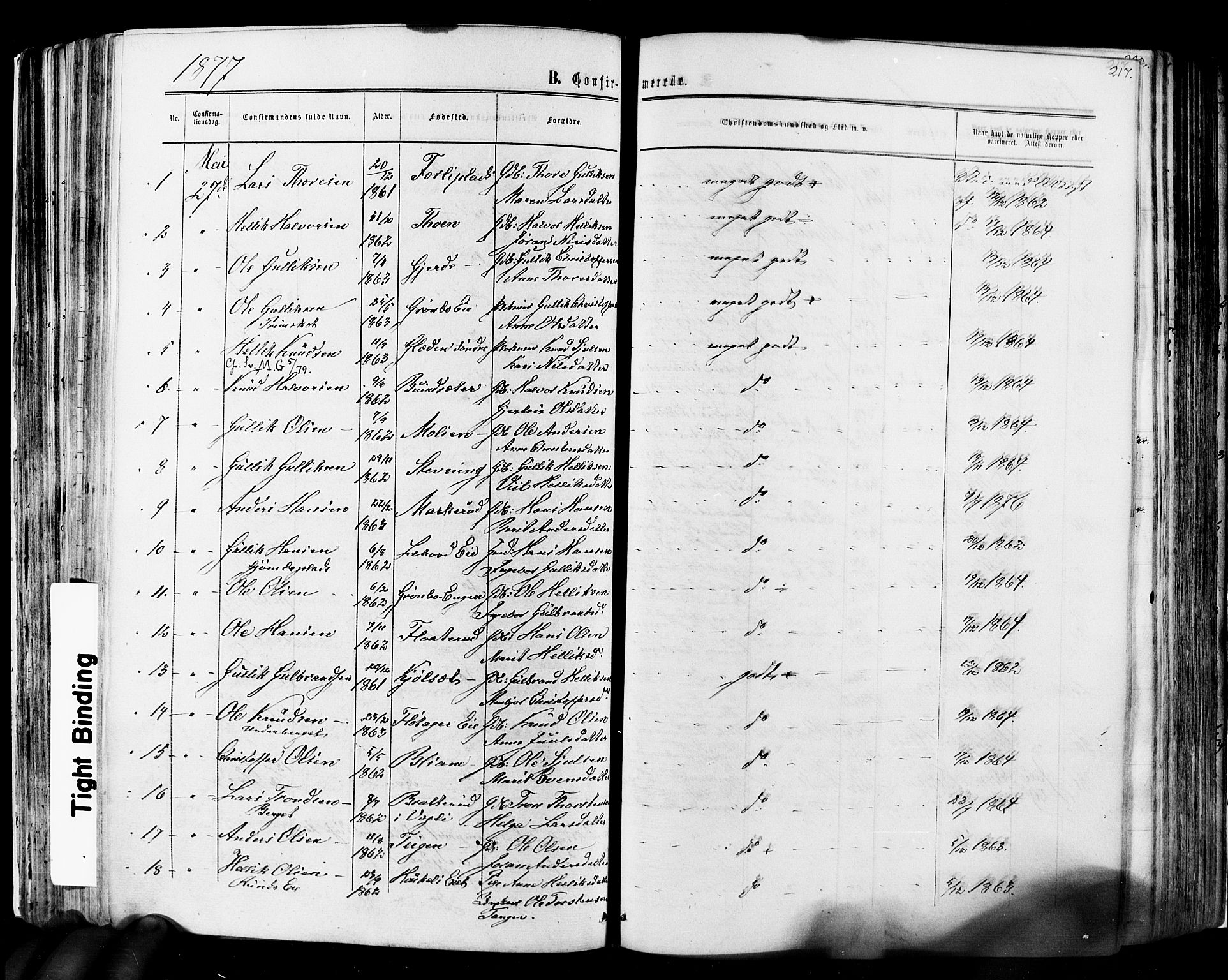 Flesberg kirkebøker, AV/SAKO-A-18/F/Fa/L0007: Parish register (official) no. I 7, 1861-1878, p. 217