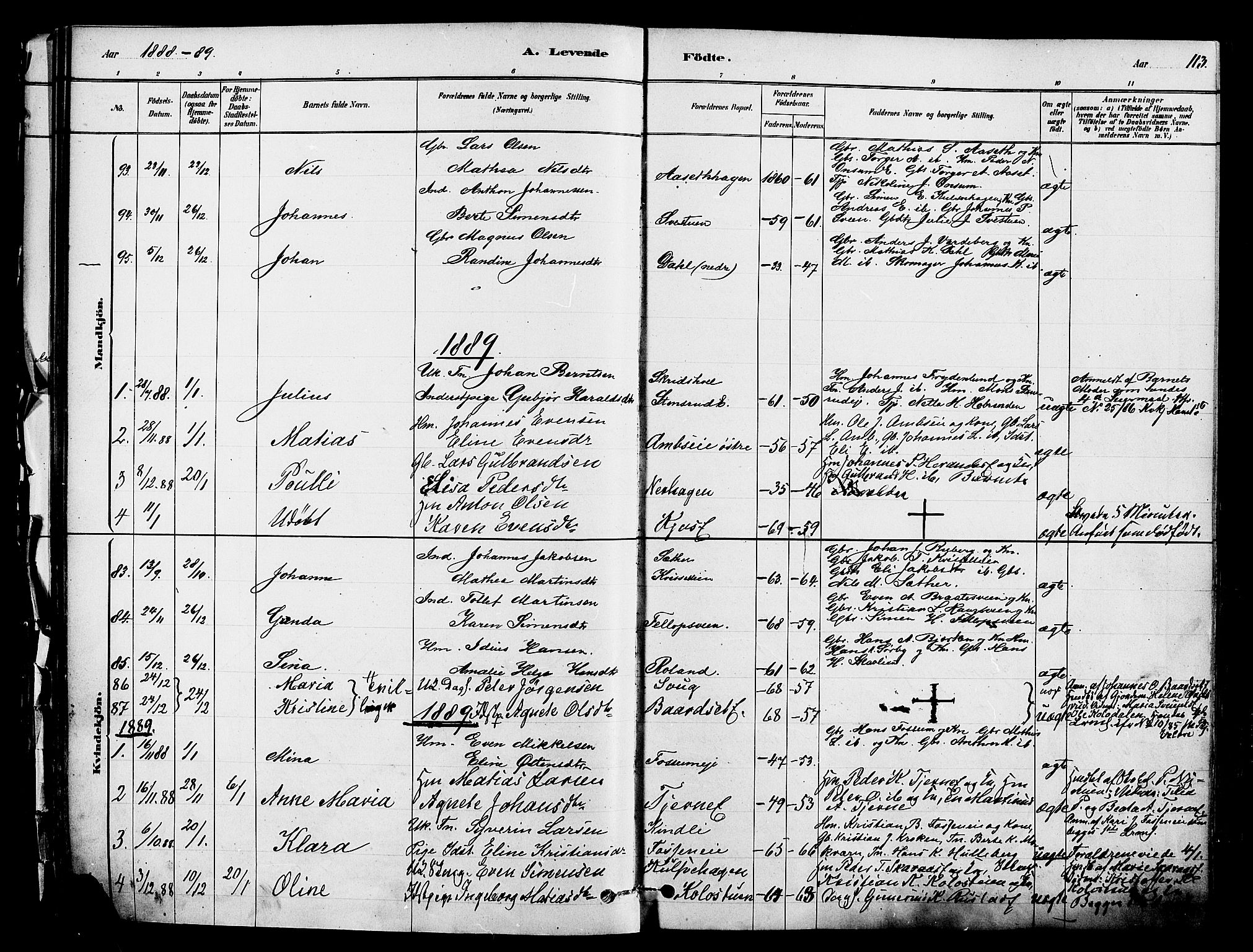 Ringsaker prestekontor, SAH/PREST-014/K/Ka/L0012: Parish register (official) no. 12, 1879-1890, p. 113