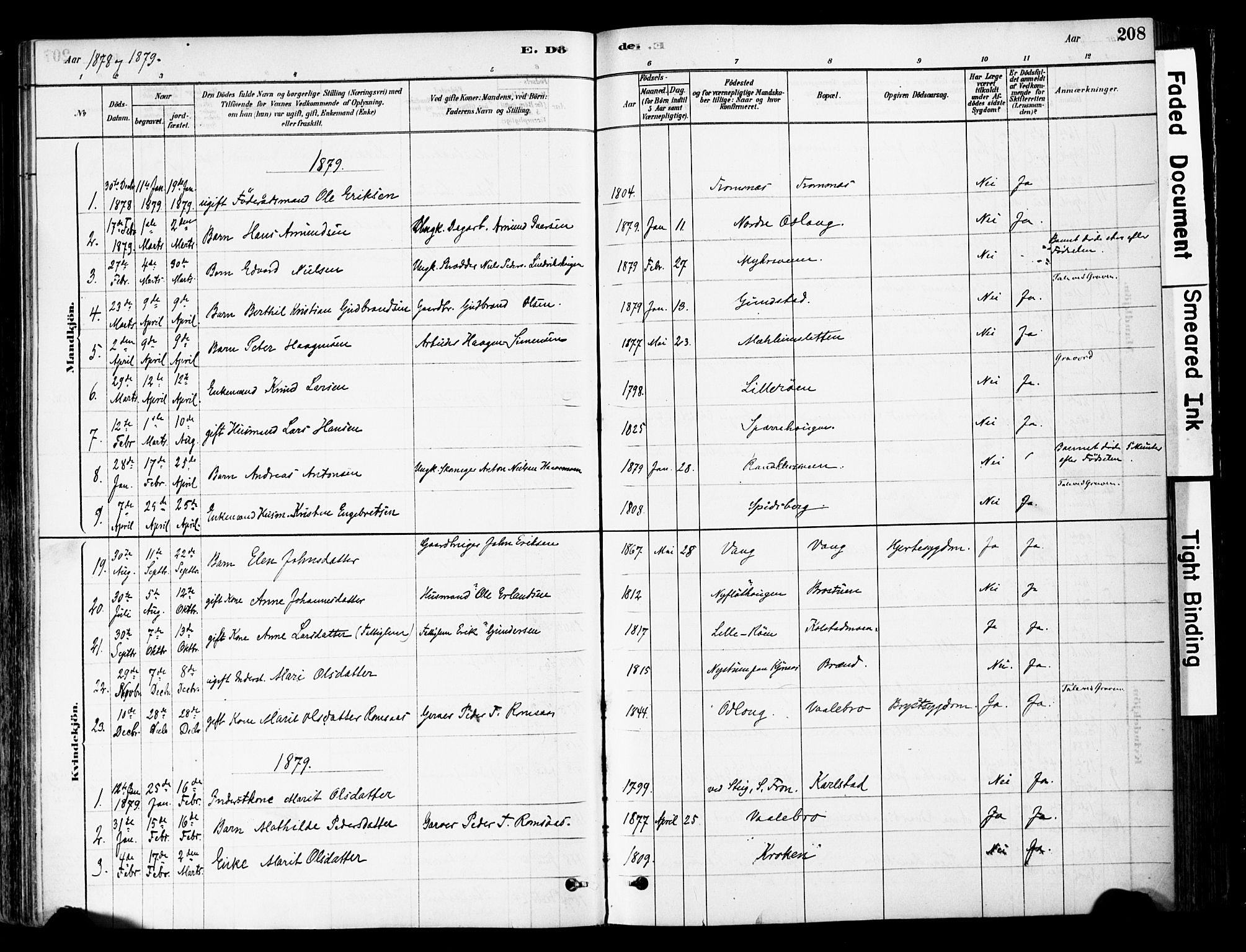 Ringebu prestekontor, SAH/PREST-082/H/Ha/Haa/L0008: Parish register (official) no. 8, 1878-1898, p. 208