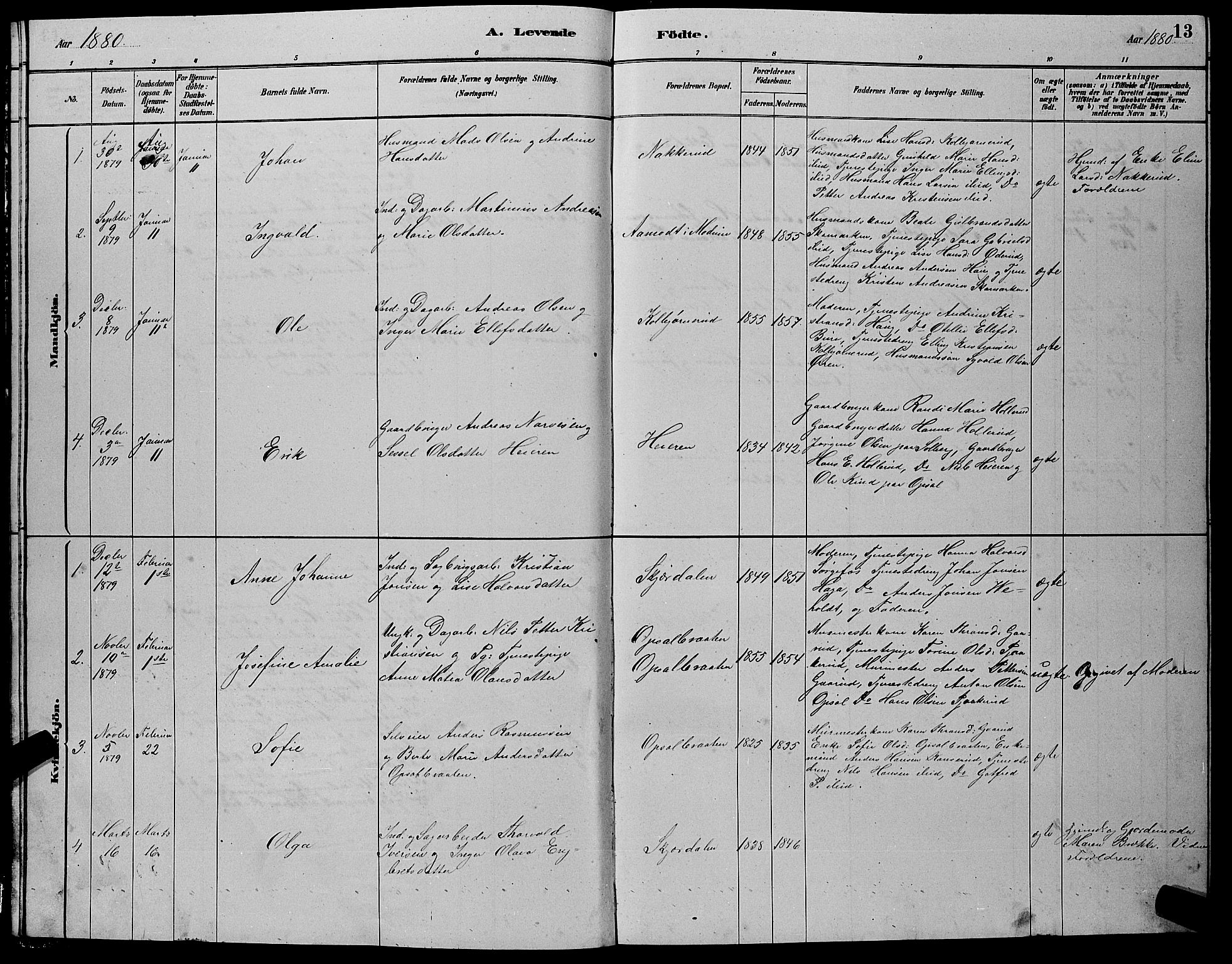 Hole kirkebøker, AV/SAKO-A-228/G/Gb/L0002: Parish register (copy) no. II 2, 1878-1889, p. 13