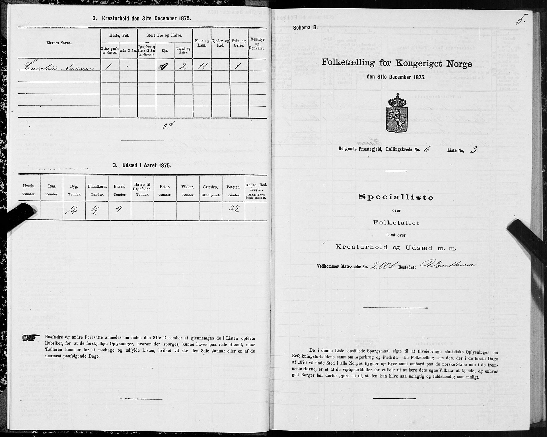 SAT, 1875 census for 1531P Borgund, 1875, p. 4005