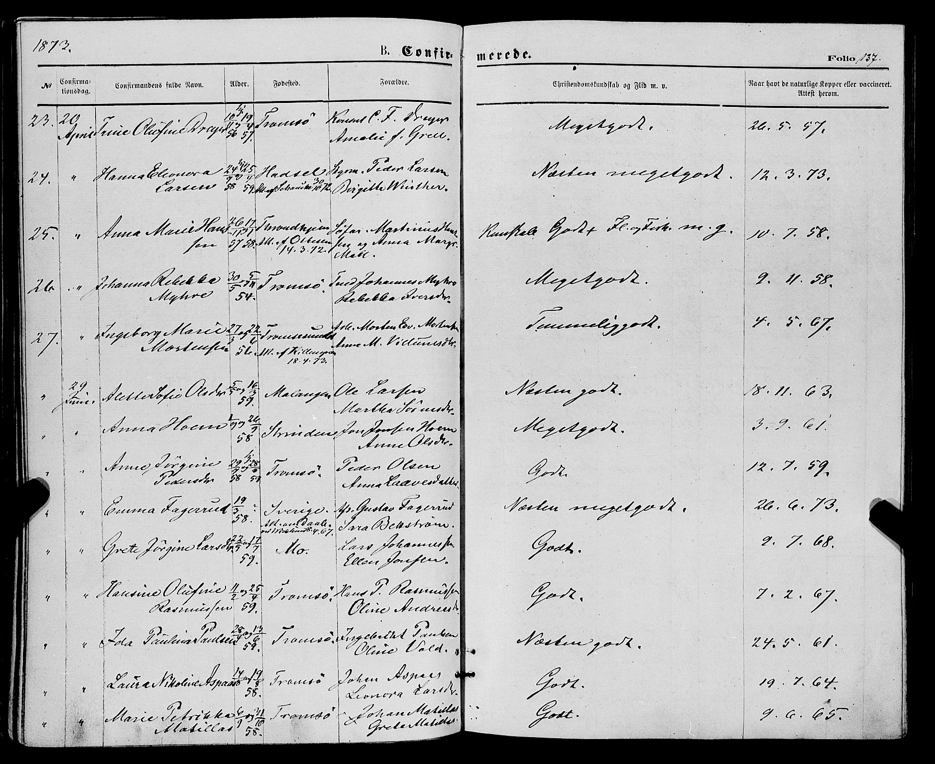 Tromsø sokneprestkontor/stiftsprosti/domprosti, SATØ/S-1343/G/Ga/L0013kirke: Parish register (official) no. 13, 1872-1877, p. 137