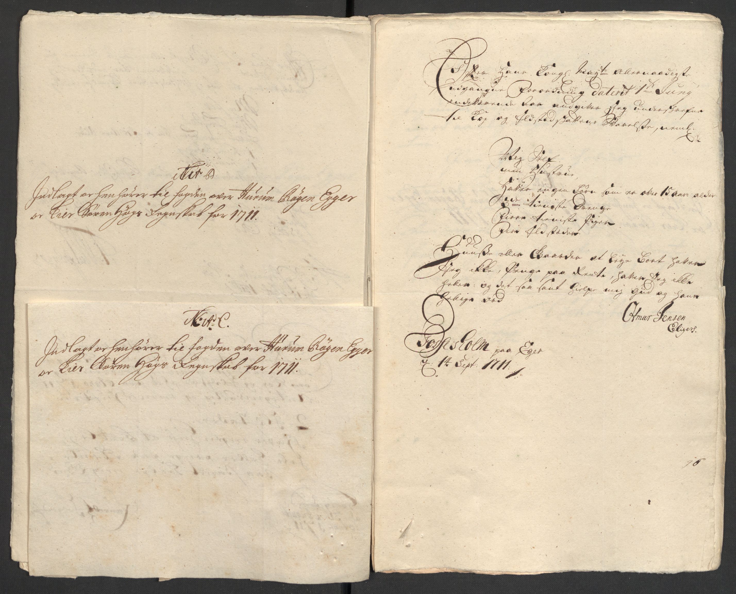 Rentekammeret inntil 1814, Reviderte regnskaper, Fogderegnskap, AV/RA-EA-4092/R31/L1705: Fogderegnskap Hurum, Røyken, Eiker, Lier og Buskerud, 1711, p. 249