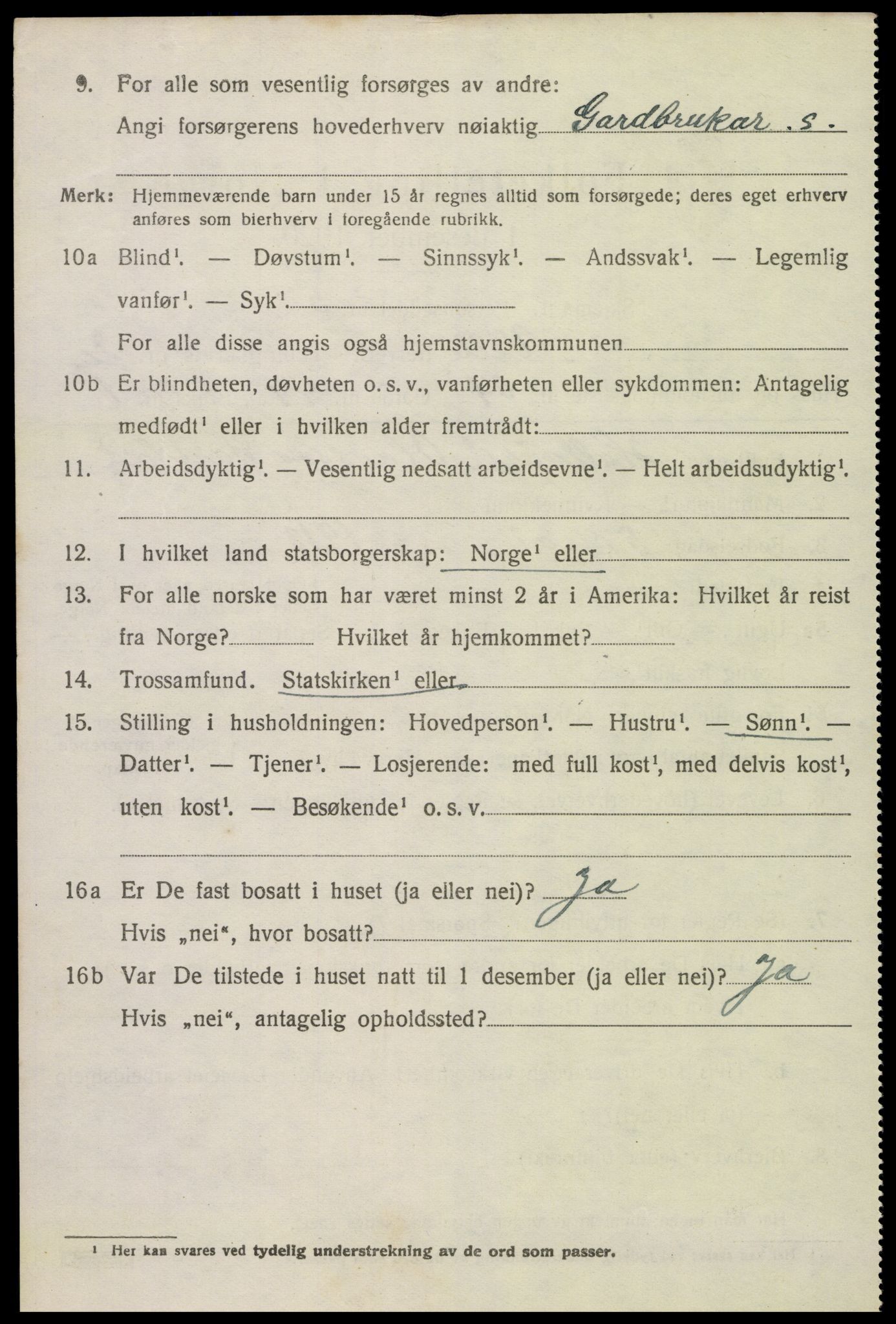 SAK, 1920 census for Valle, 1920, p. 1538