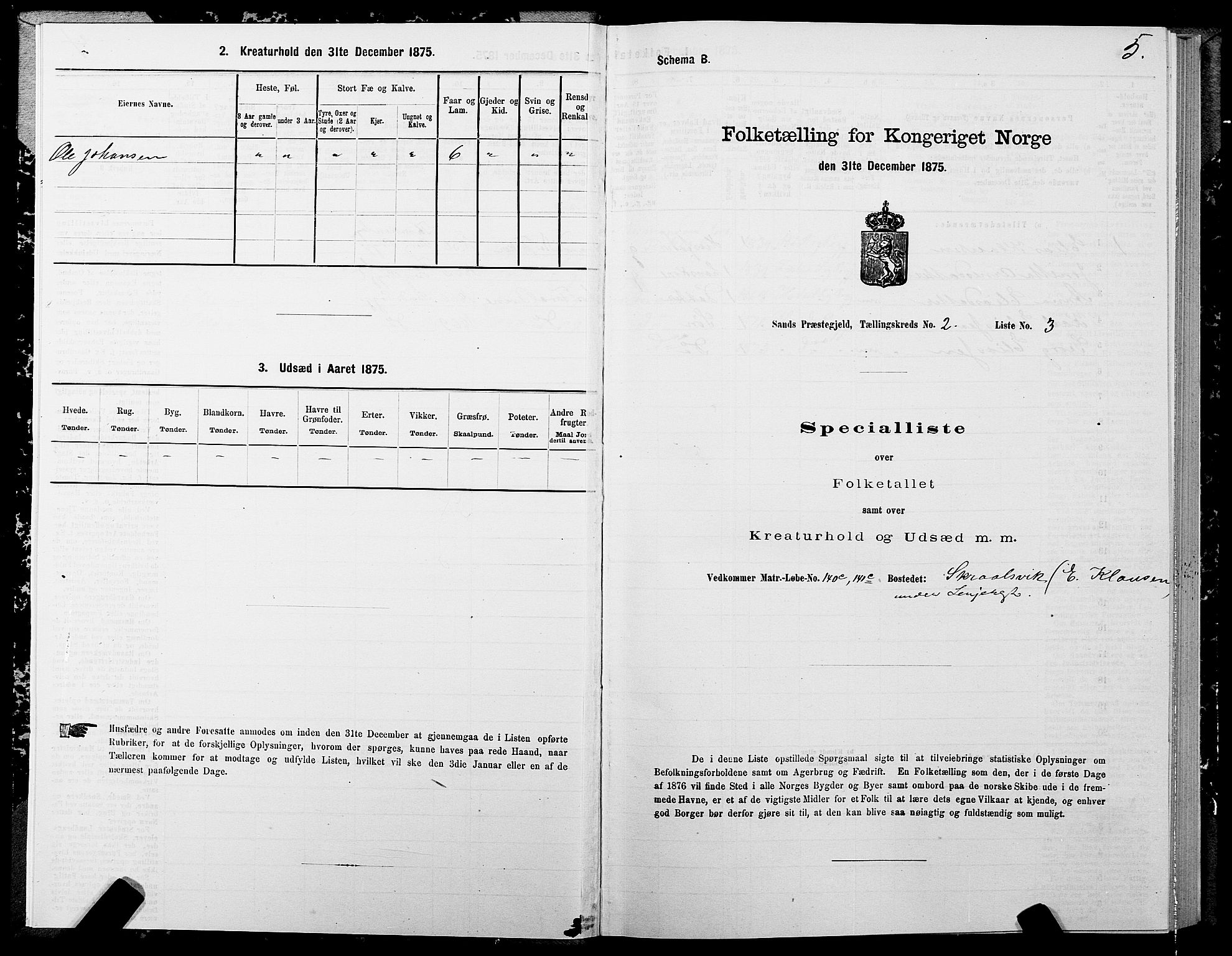 SATØ, 1875 census for 1915P Sand, 1875, p. 2005