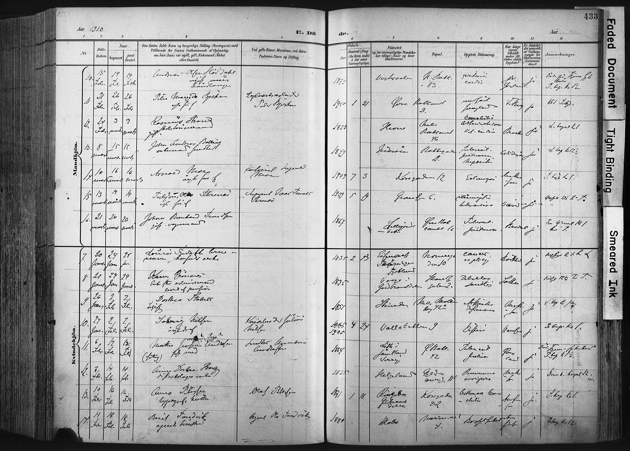 Ministerialprotokoller, klokkerbøker og fødselsregistre - Sør-Trøndelag, AV/SAT-A-1456/604/L0201: Parish register (official) no. 604A21, 1901-1911, p. 433