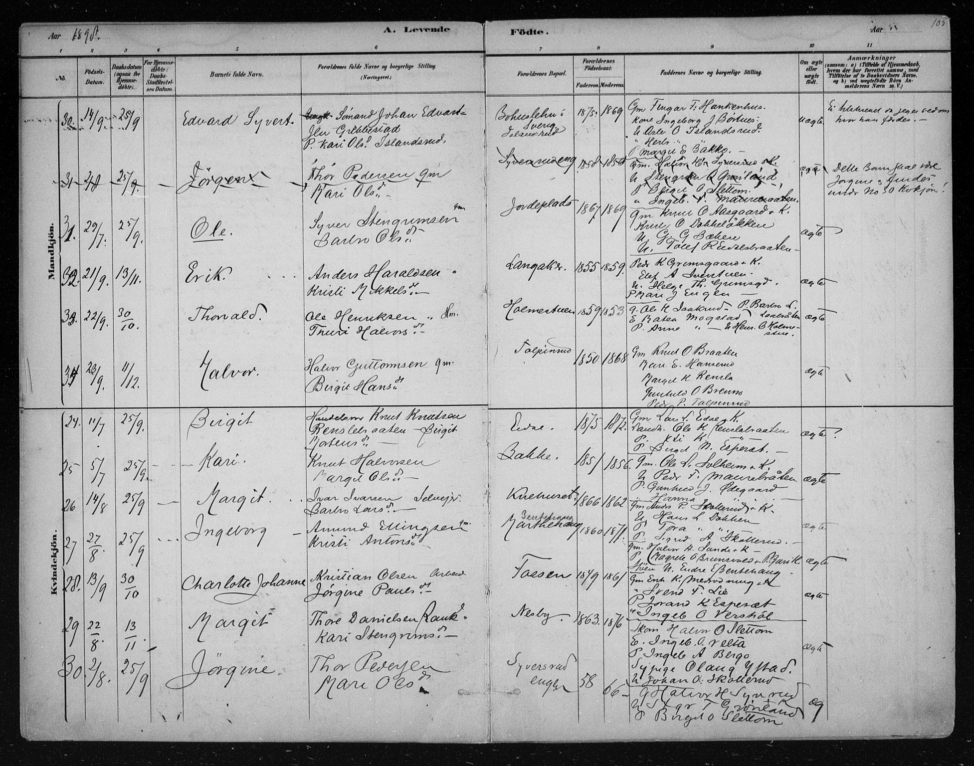 Nes kirkebøker, SAKO/A-236/F/Fa/L0011: Parish register (official) no. 11, 1881-1912, p. 105