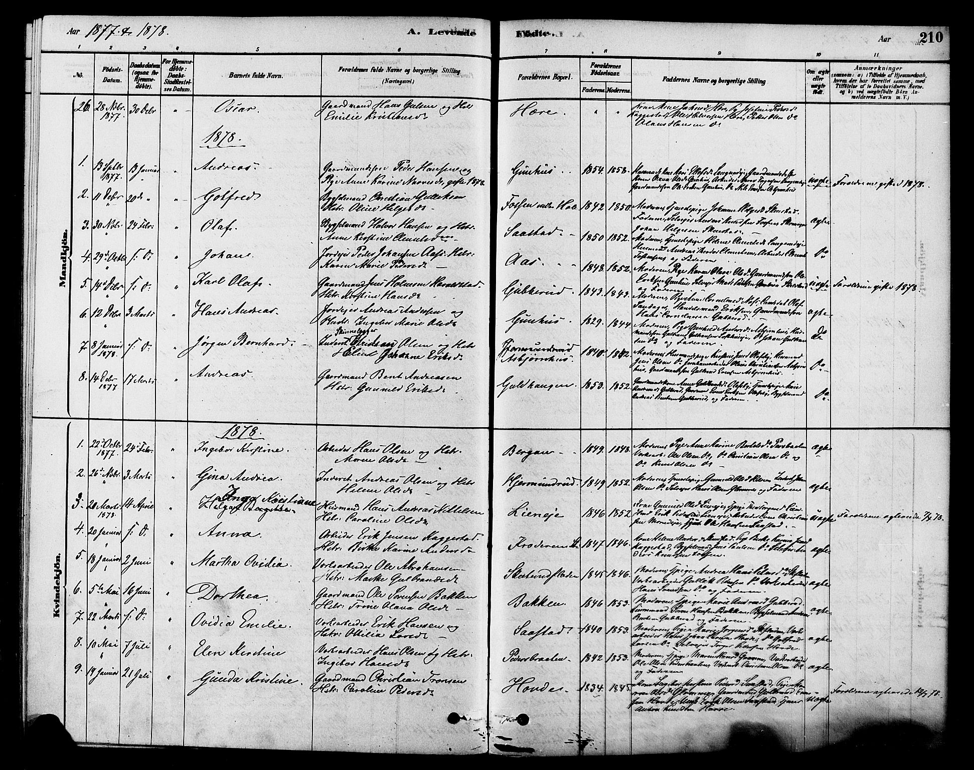 Modum kirkebøker, AV/SAKO-A-234/F/Fa/L0015: Parish register (official) no. 15 /2, 1877-1889, p. 210