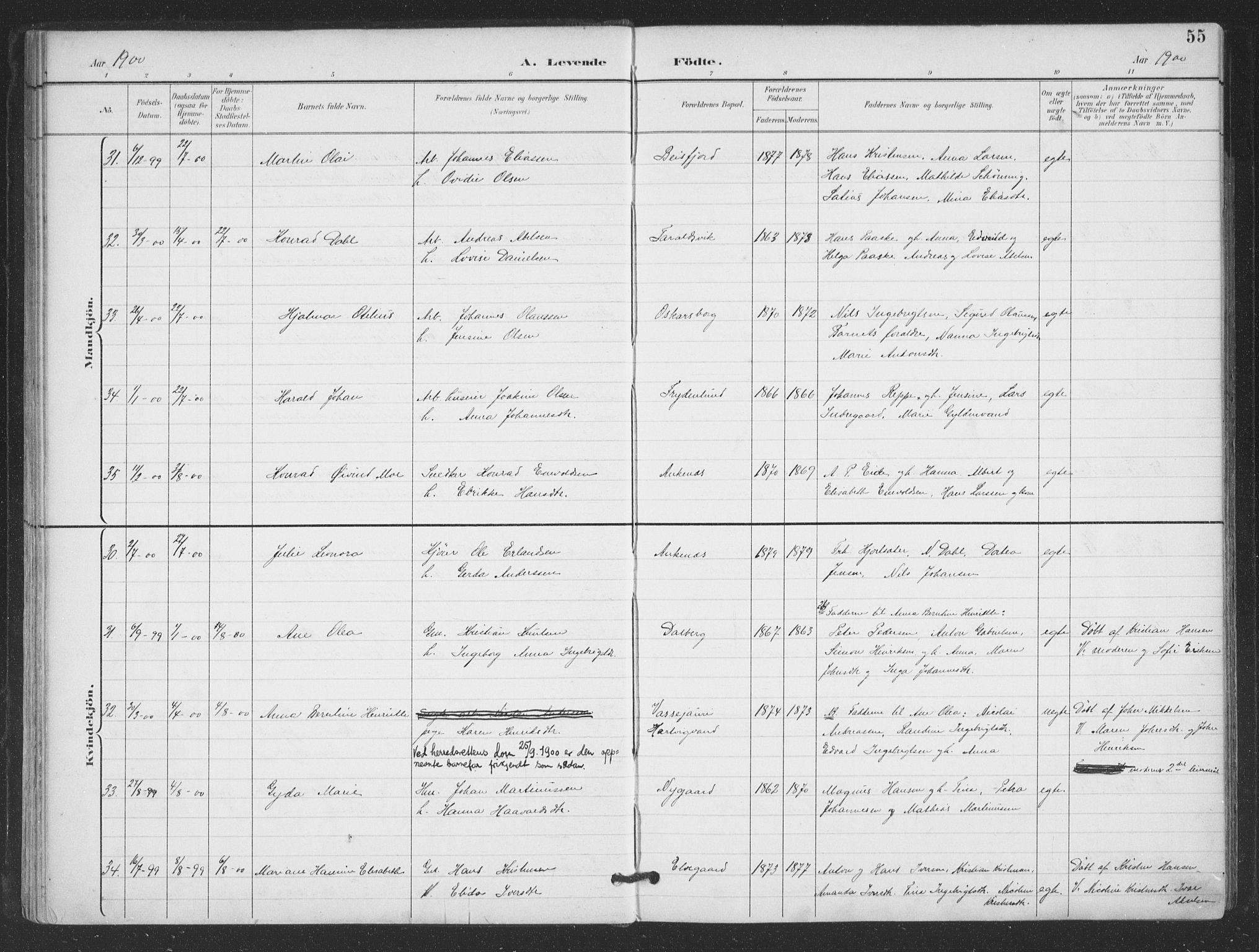 Ministerialprotokoller, klokkerbøker og fødselsregistre - Nordland, AV/SAT-A-1459/866/L0939: Parish register (official) no. 866A02, 1894-1906, p. 55