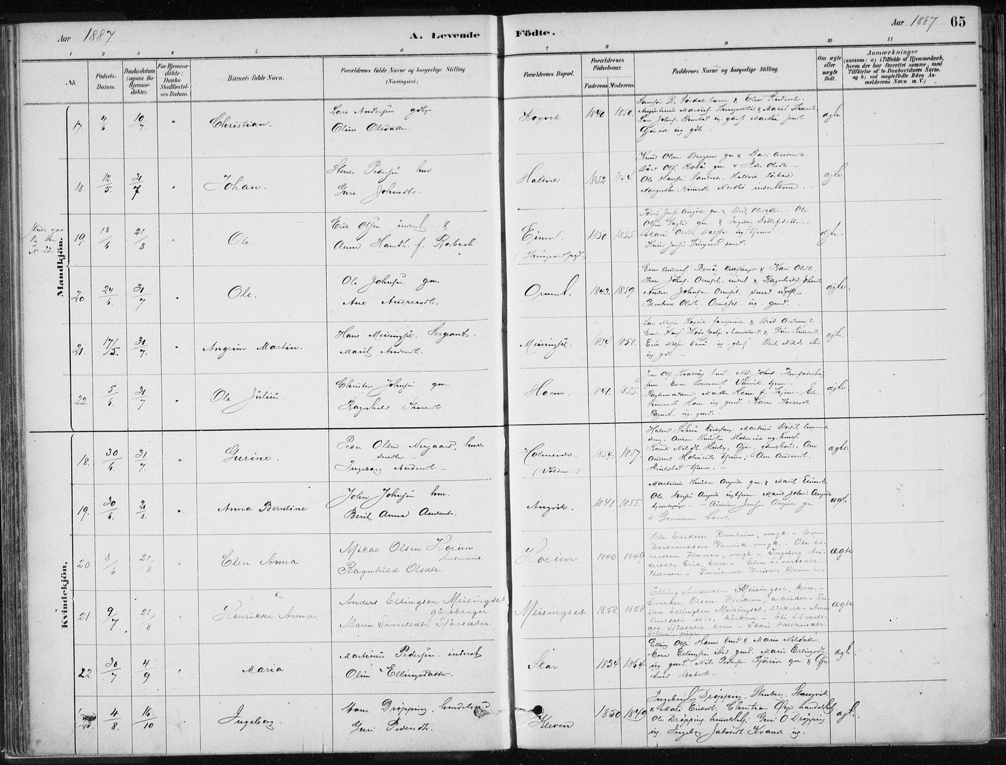 Ministerialprotokoller, klokkerbøker og fødselsregistre - Møre og Romsdal, AV/SAT-A-1454/586/L0987: Parish register (official) no. 586A13, 1879-1892, p. 65