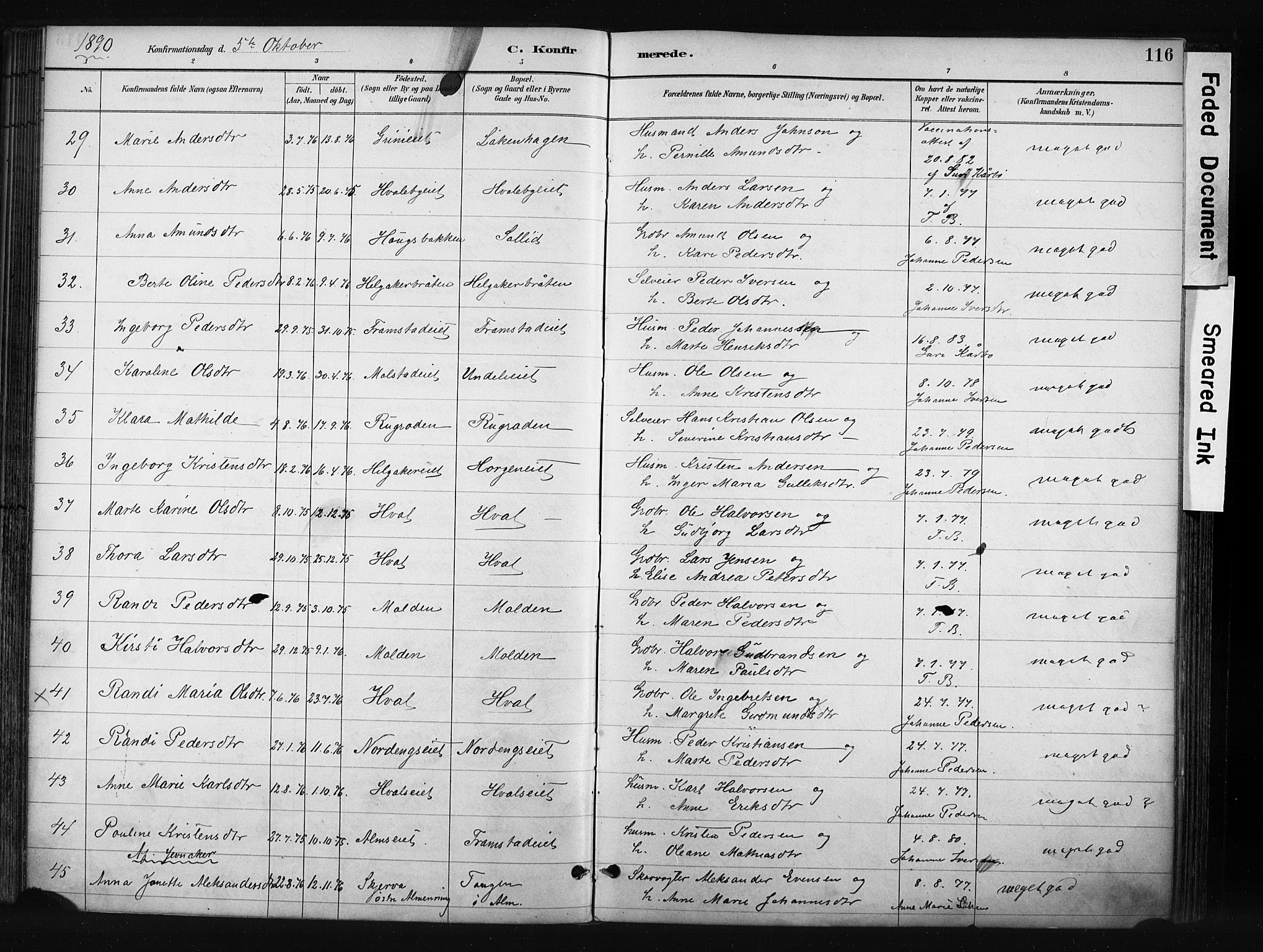 Gran prestekontor, SAH/PREST-112/H/Ha/Haa/L0017: Parish register (official) no. 17, 1889-1897, p. 116