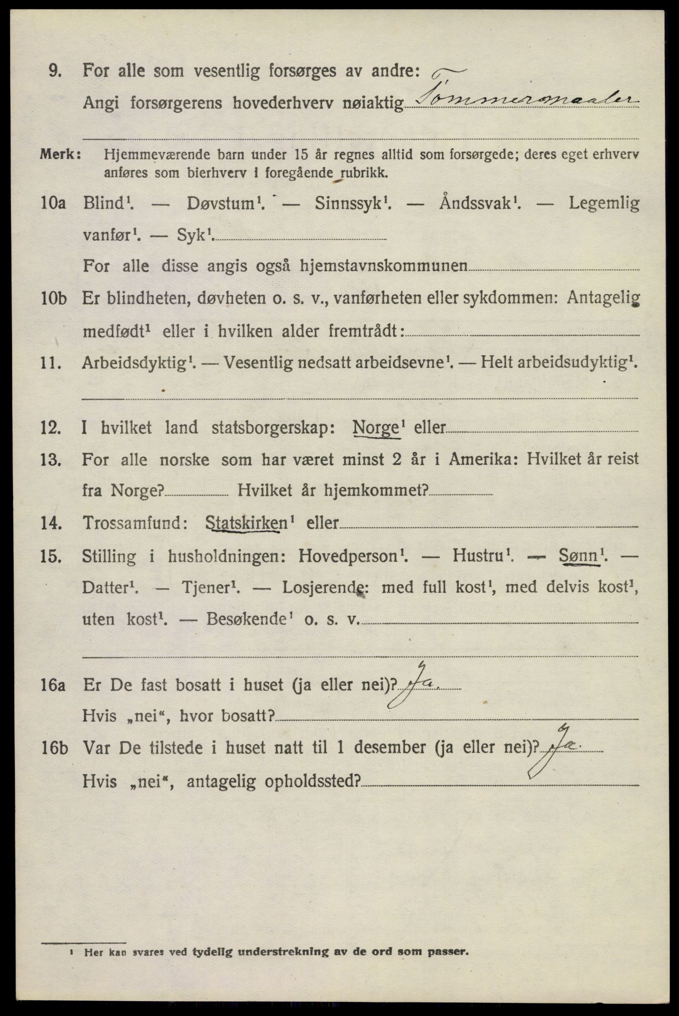 SAKO, 1920 census for Brunlanes, 1920, p. 11342