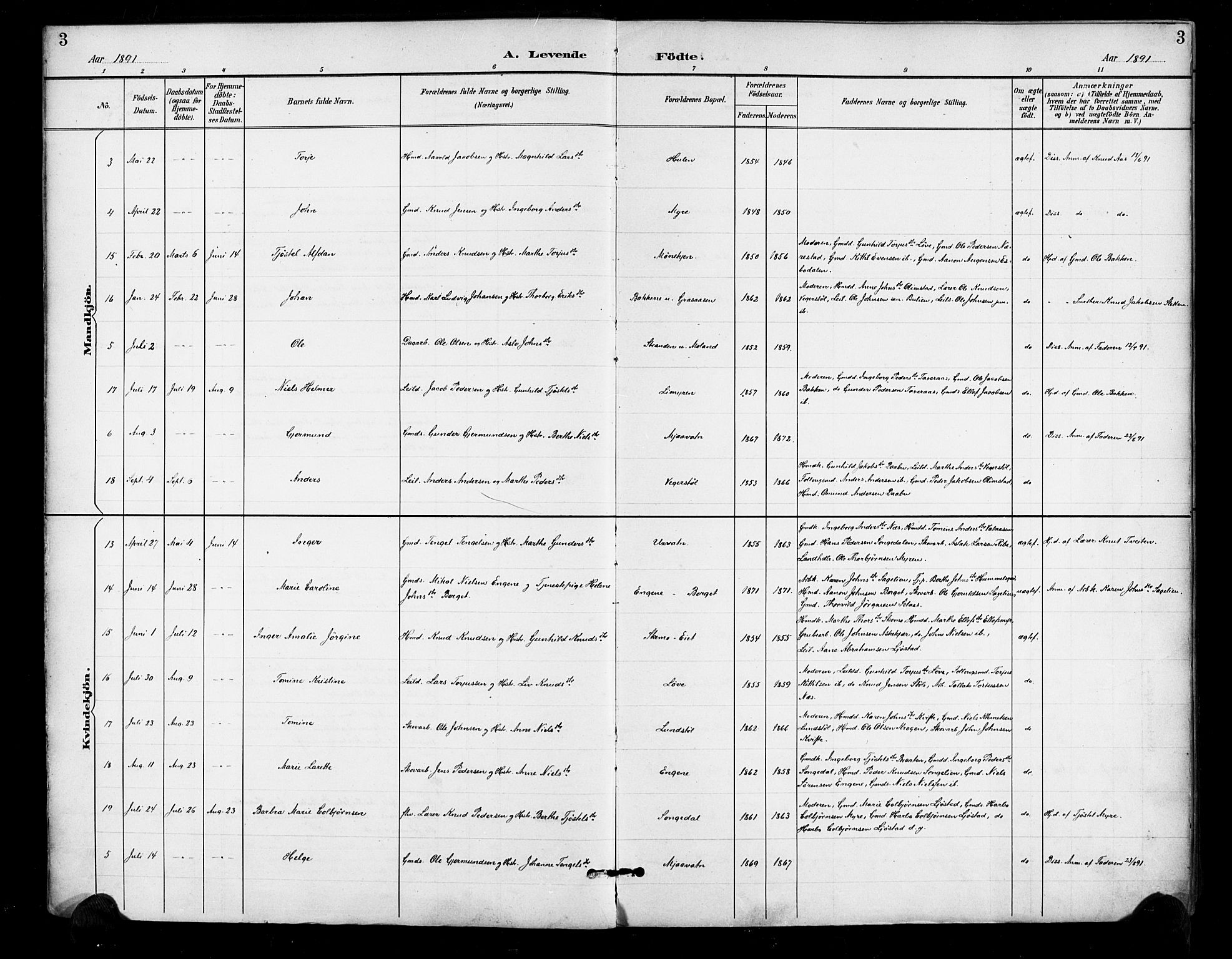 Gjerstad sokneprestkontor, AV/SAK-1111-0014/F/Fa/Fab/L0005: Parish register (official) no. A 5, 1891-1908, p. 3