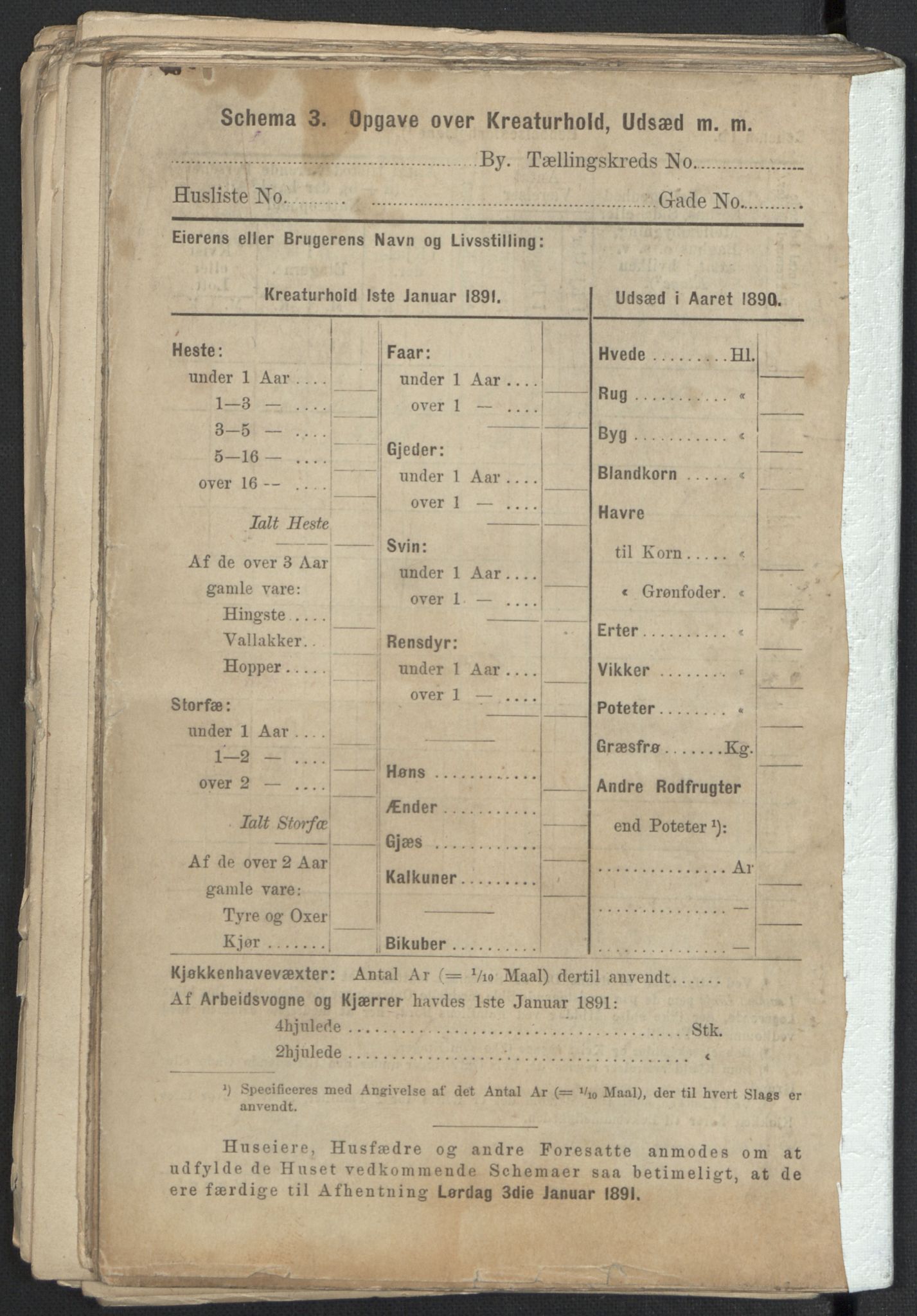 RA, 1891 Census for 1301 Bergen, 1891, p. 7331