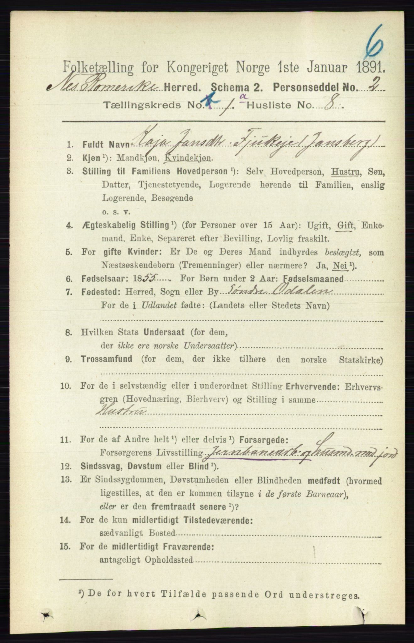 RA, 1891 census for 0236 Nes, 1891, p. 162