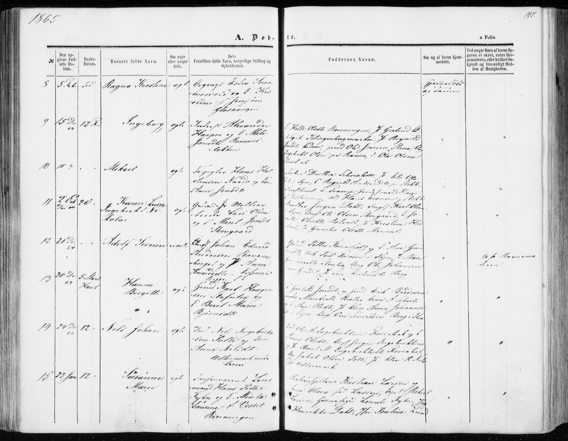 Ministerialprotokoller, klokkerbøker og fødselsregistre - Sør-Trøndelag, AV/SAT-A-1456/606/L0292: Parish register (official) no. 606A07, 1856-1865, p. 197