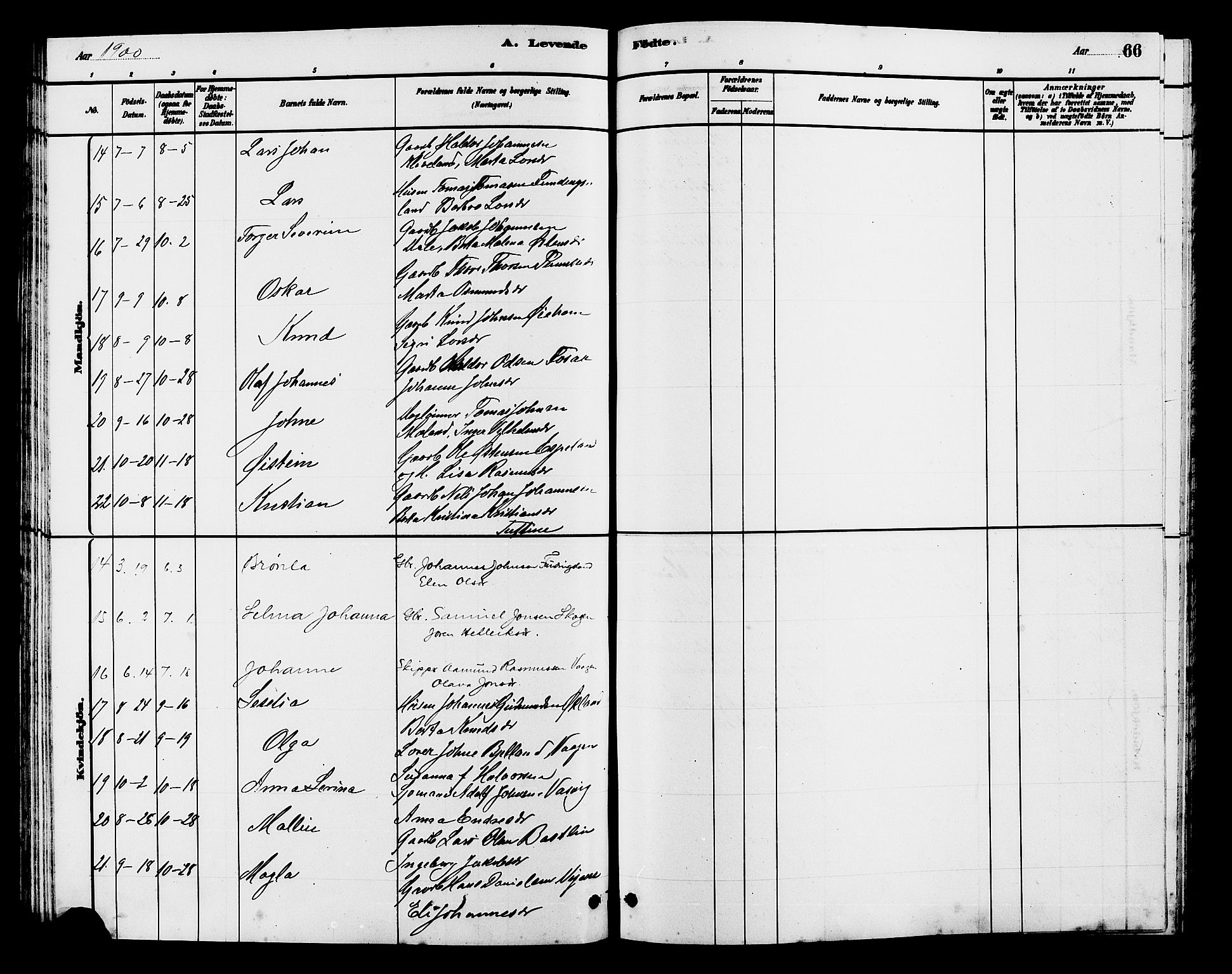 Hjelmeland sokneprestkontor, AV/SAST-A-101843/01/V/L0007: Parish register (copy) no. B 7, 1880-1909, p. 66