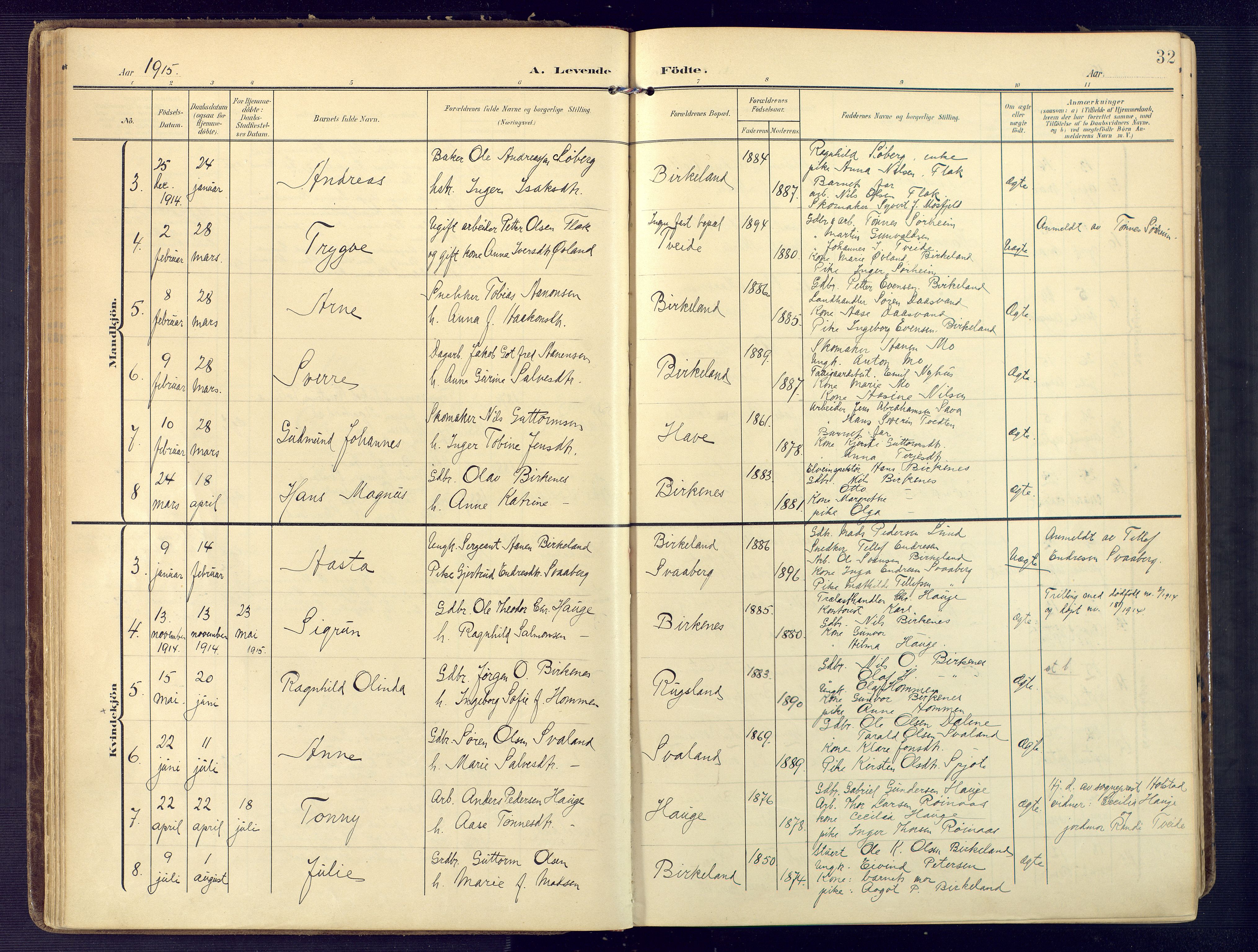 Birkenes sokneprestkontor, AV/SAK-1111-0004/F/Fa/L0006: Parish register (official) no. A 6, 1908-1932, p. 32