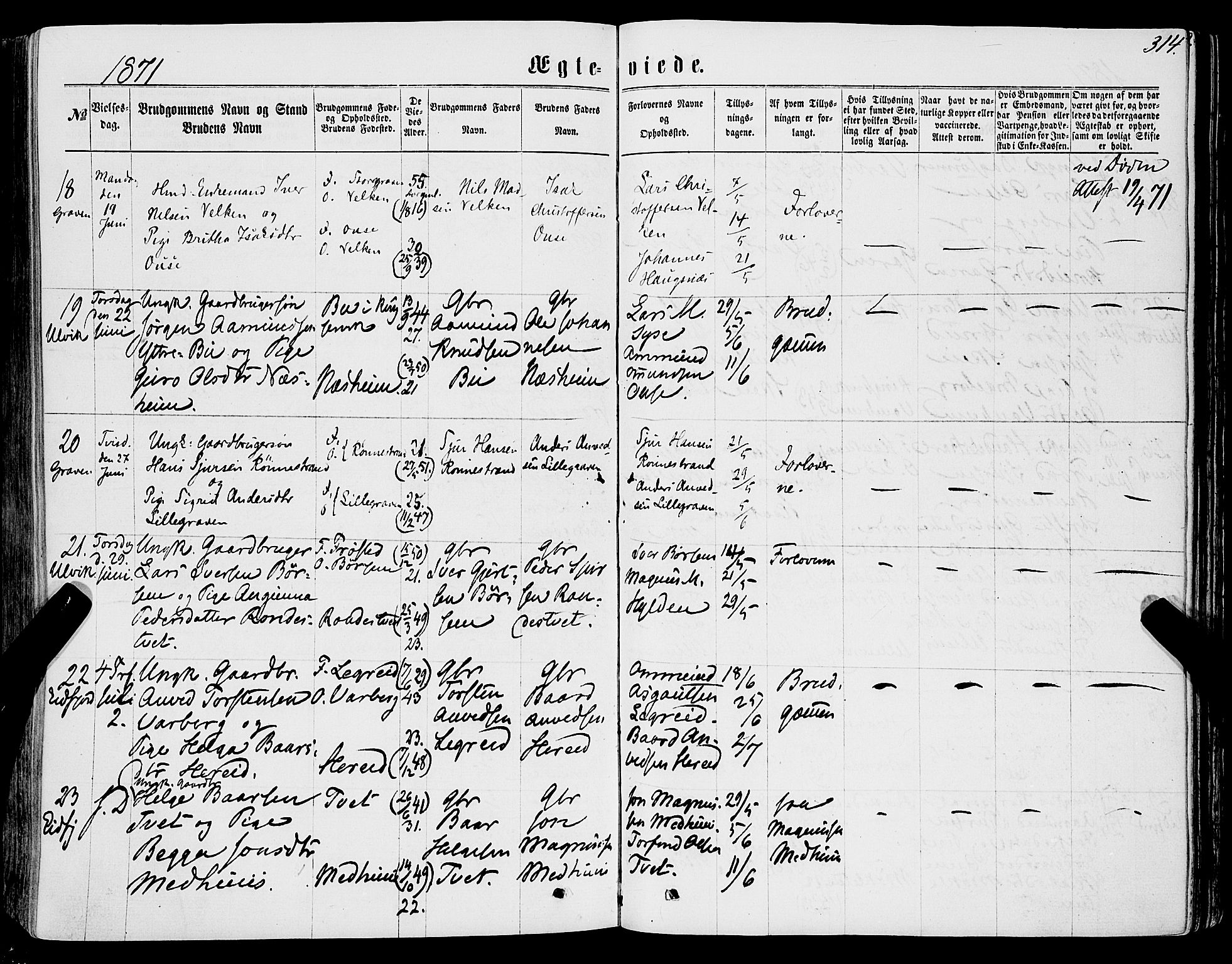 Ulvik sokneprestembete, AV/SAB-A-78801/H/Haa: Parish register (official) no. A 15, 1864-1878, p. 314