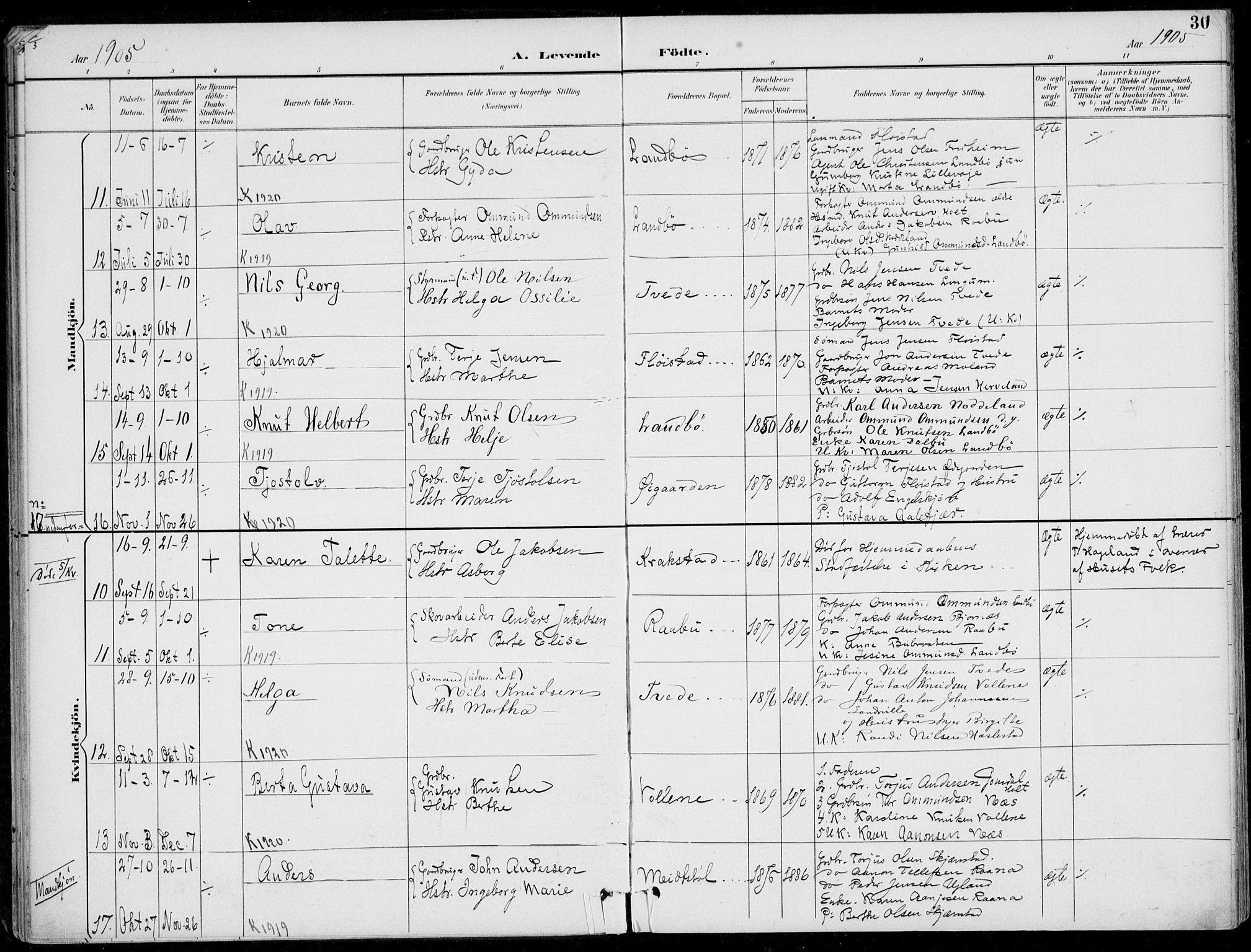 Austre Moland sokneprestkontor, AV/SAK-1111-0001/F/Fa/Faa/L0011: Parish register (official) no. A 11, 1894-1915, p. 30