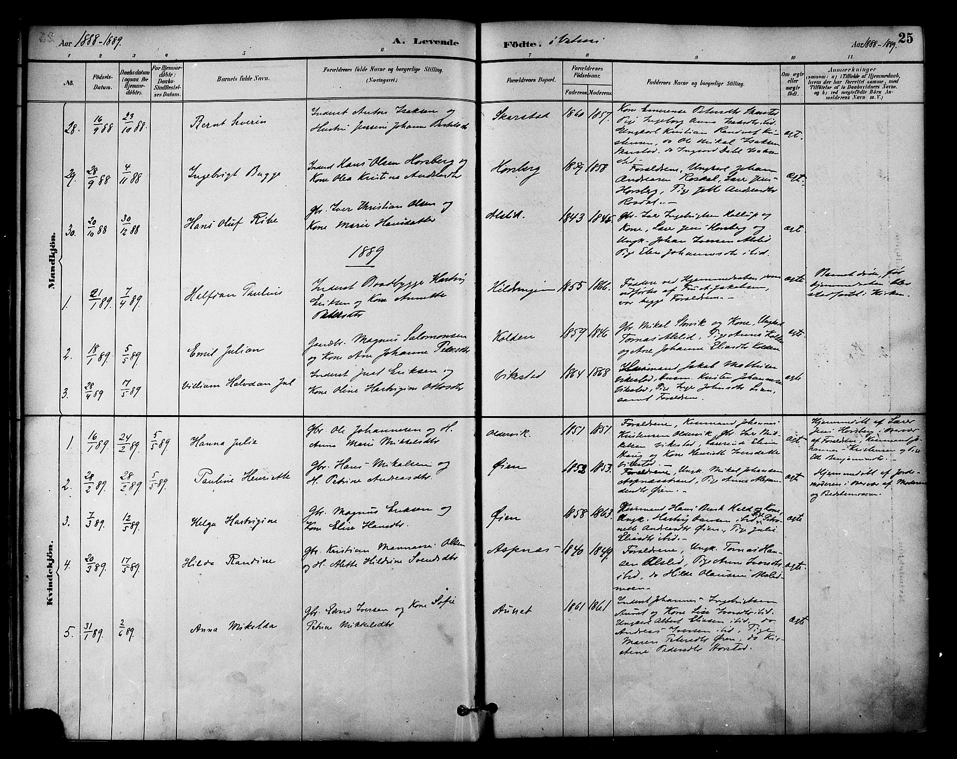 Ministerialprotokoller, klokkerbøker og fødselsregistre - Nordland, AV/SAT-A-1459/810/L0150: Parish register (official) no. 810A10 /1, 1884-1895, p. 25