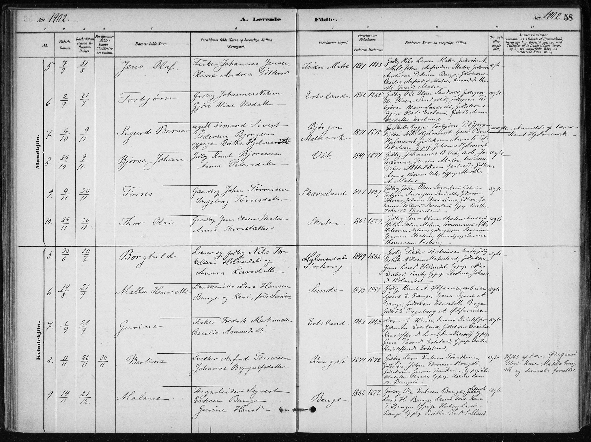 Skånevik sokneprestembete, SAB/A-77801/H/Haa: Parish register (official) no. C  1, 1879-1917, p. 58