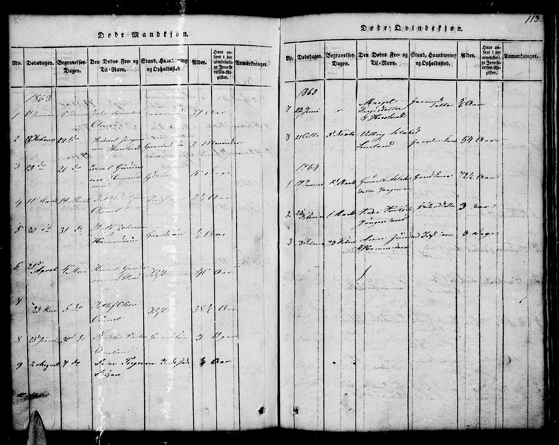Åmli sokneprestkontor, SAK/1111-0050/F/Fb/Fba/L0001: Parish register (copy) no. B 1, 1816-1890, p. 113