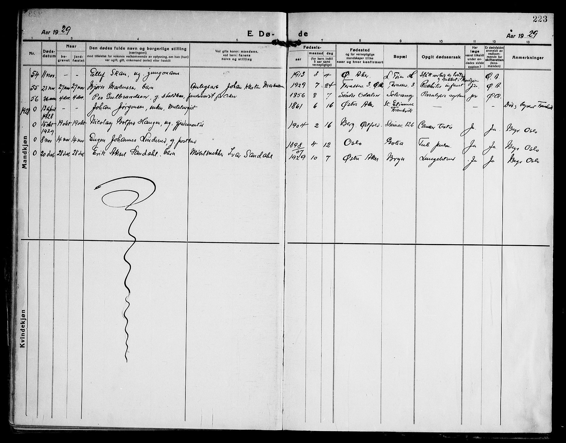 Østre Aker prestekontor Kirkebøker, SAO/A-10840/F/Fa/L0013: Parish register (official) no. I 13, 1918-1929, p. 223