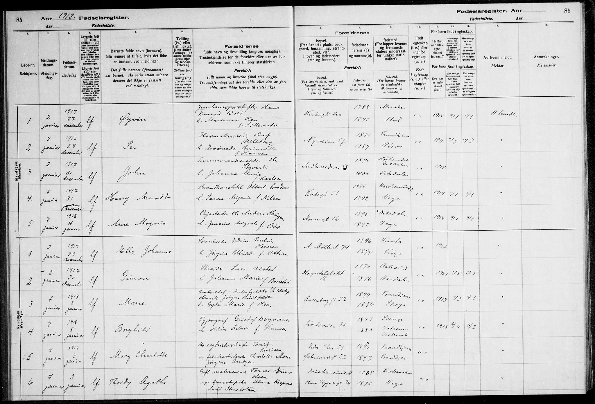 Ministerialprotokoller, klokkerbøker og fødselsregistre - Sør-Trøndelag, SAT/A-1456/600/L0002: Birth register no. 600.II.4.1, 1916-1920, p. 85