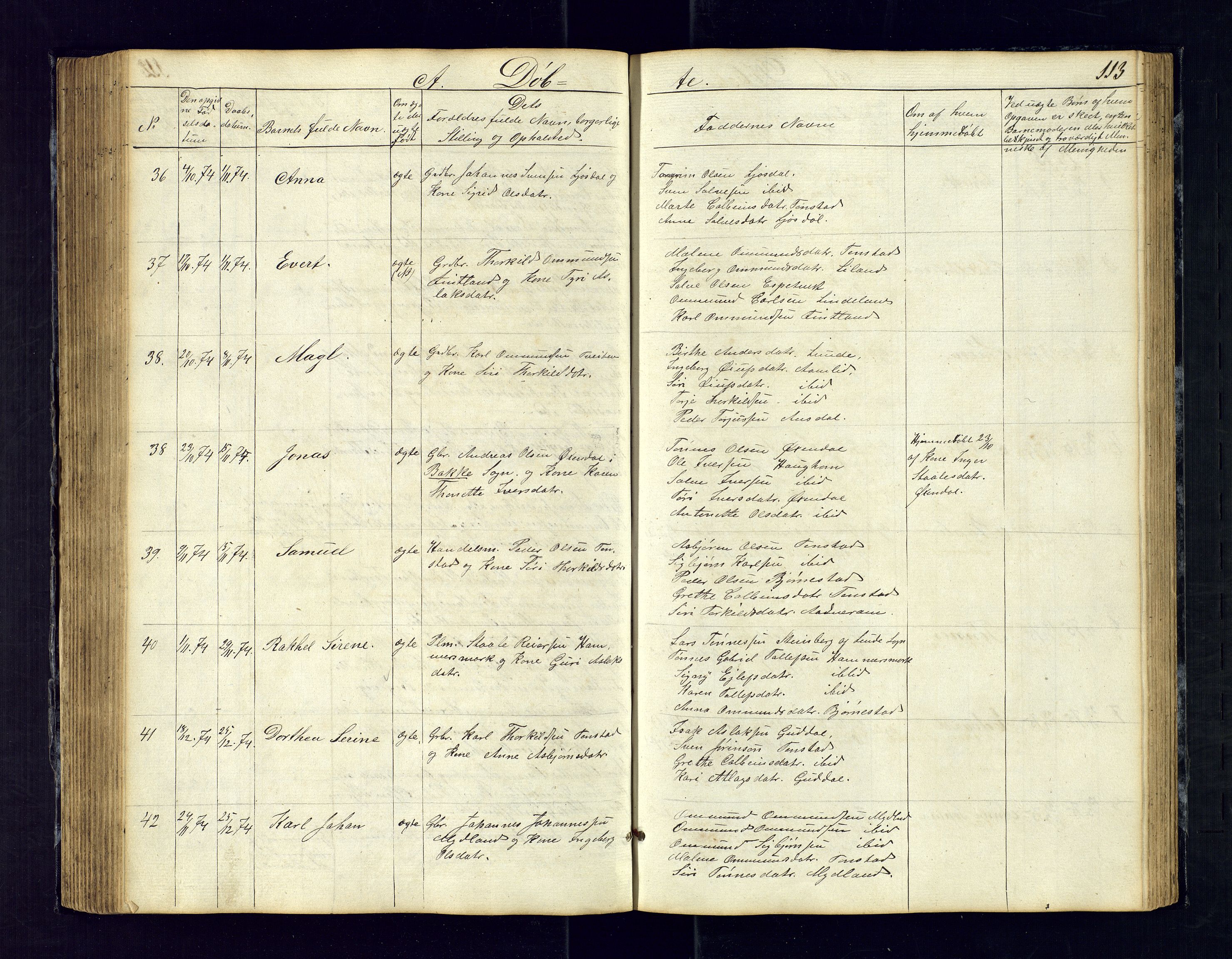 Sirdal sokneprestkontor, SAK/1111-0036/F/Fb/Fbb/L0002: Parish register (copy) no. B-2, 1848-1878, p. 113