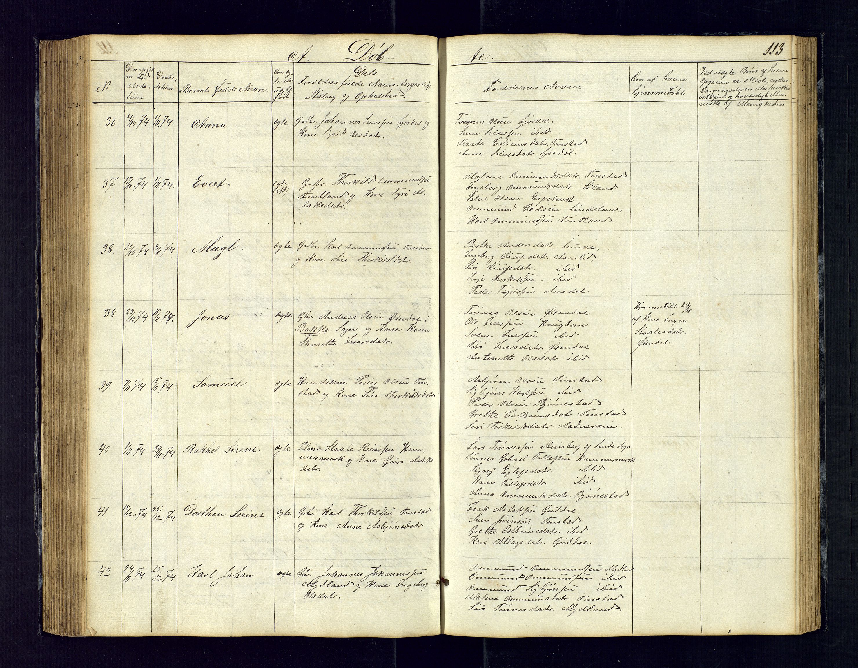 Sirdal sokneprestkontor, AV/SAK-1111-0036/F/Fb/Fbb/L0002: Parish register (copy) no. B-2, 1848-1878, p. 113