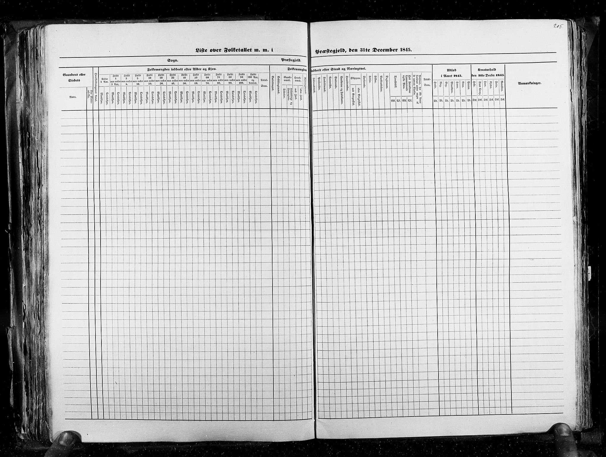 RA, Census 1845, vol. 3: Hedemarken amt og Kristians amt, 1845, p. 205