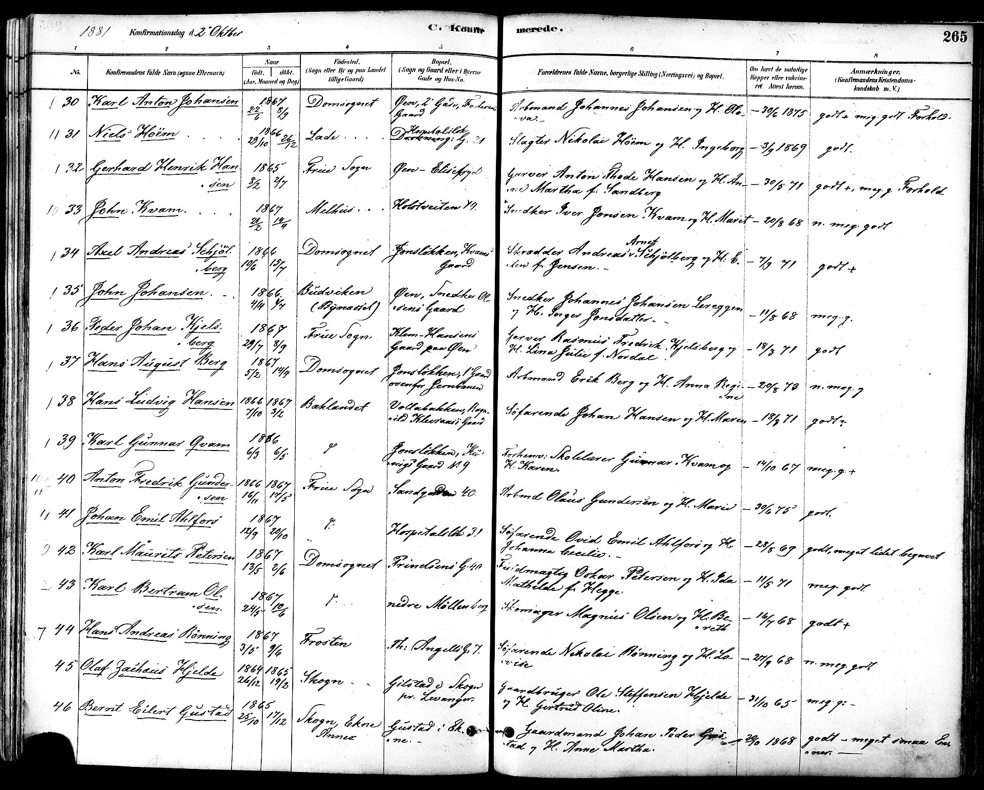 Ministerialprotokoller, klokkerbøker og fødselsregistre - Sør-Trøndelag, AV/SAT-A-1456/601/L0057: Parish register (official) no. 601A25, 1877-1891, p. 265