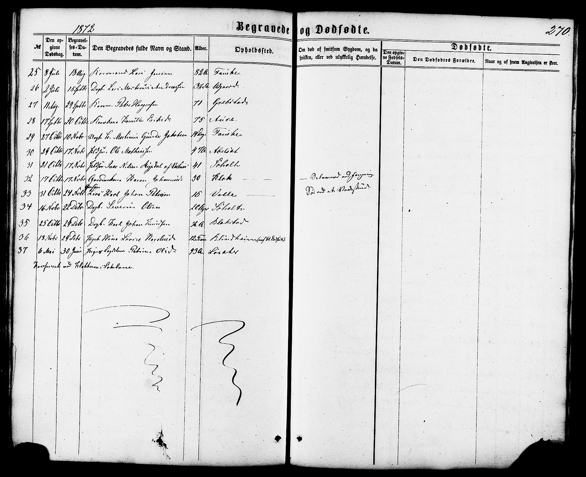 Ministerialprotokoller, klokkerbøker og fødselsregistre - Møre og Romsdal, AV/SAT-A-1454/522/L0314: Parish register (official) no. 522A09, 1863-1877, p. 270