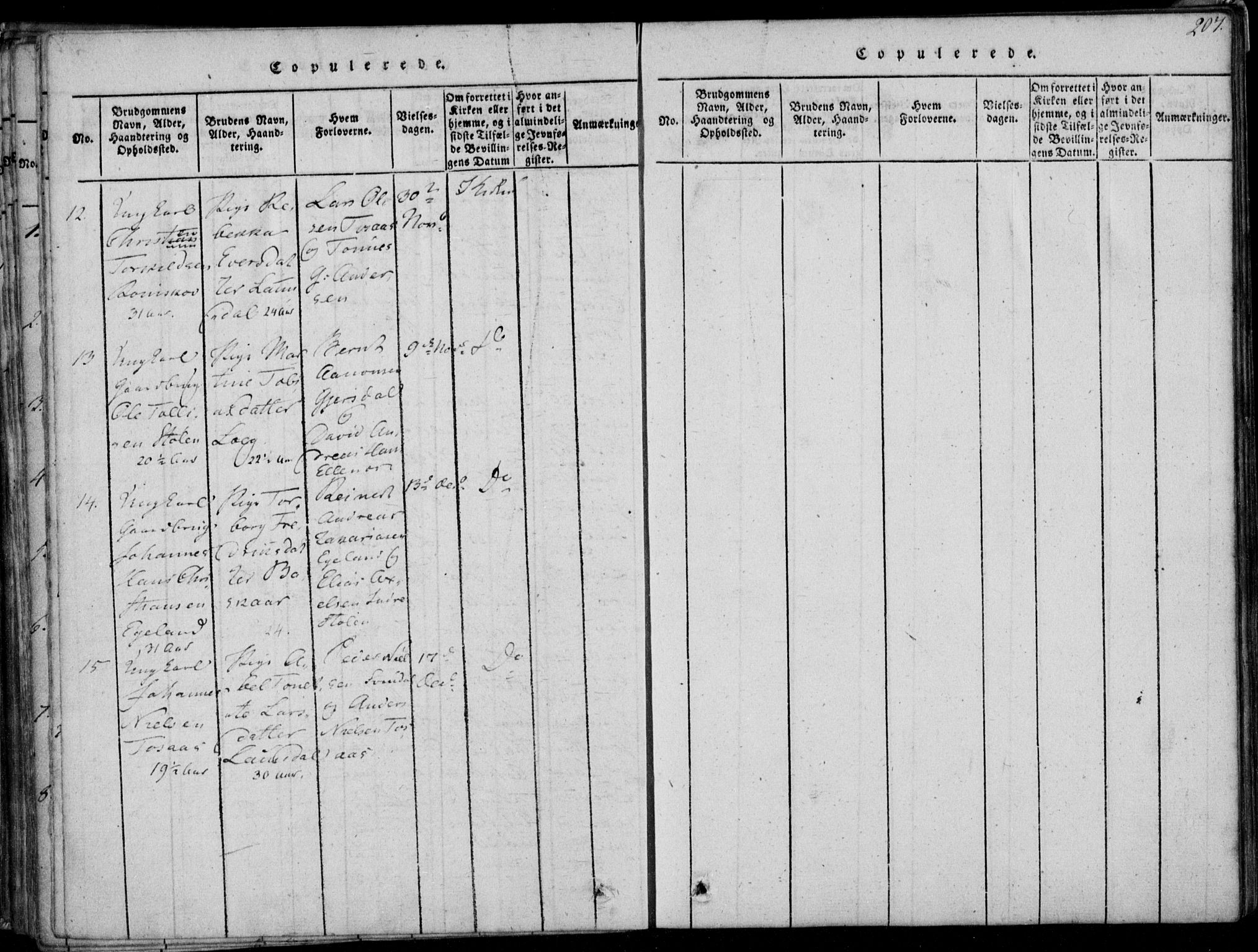 Herad sokneprestkontor, AV/SAK-1111-0018/F/Fa/Faa/L0003: Parish register (official) no. A 3, 1816-1844, p. 207