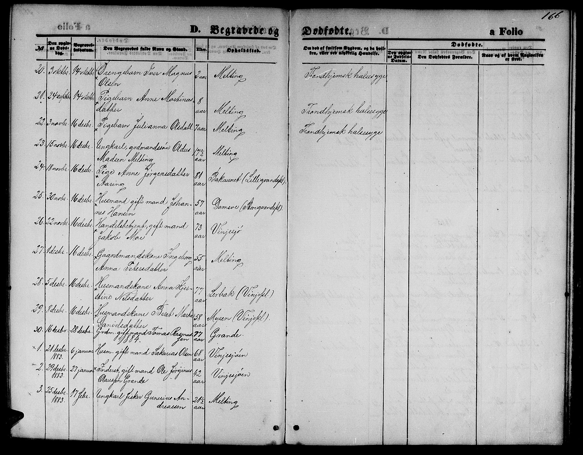 Ministerialprotokoller, klokkerbøker og fødselsregistre - Nord-Trøndelag, SAT/A-1458/733/L0326: Parish register (copy) no. 733C01, 1871-1887, p. 166