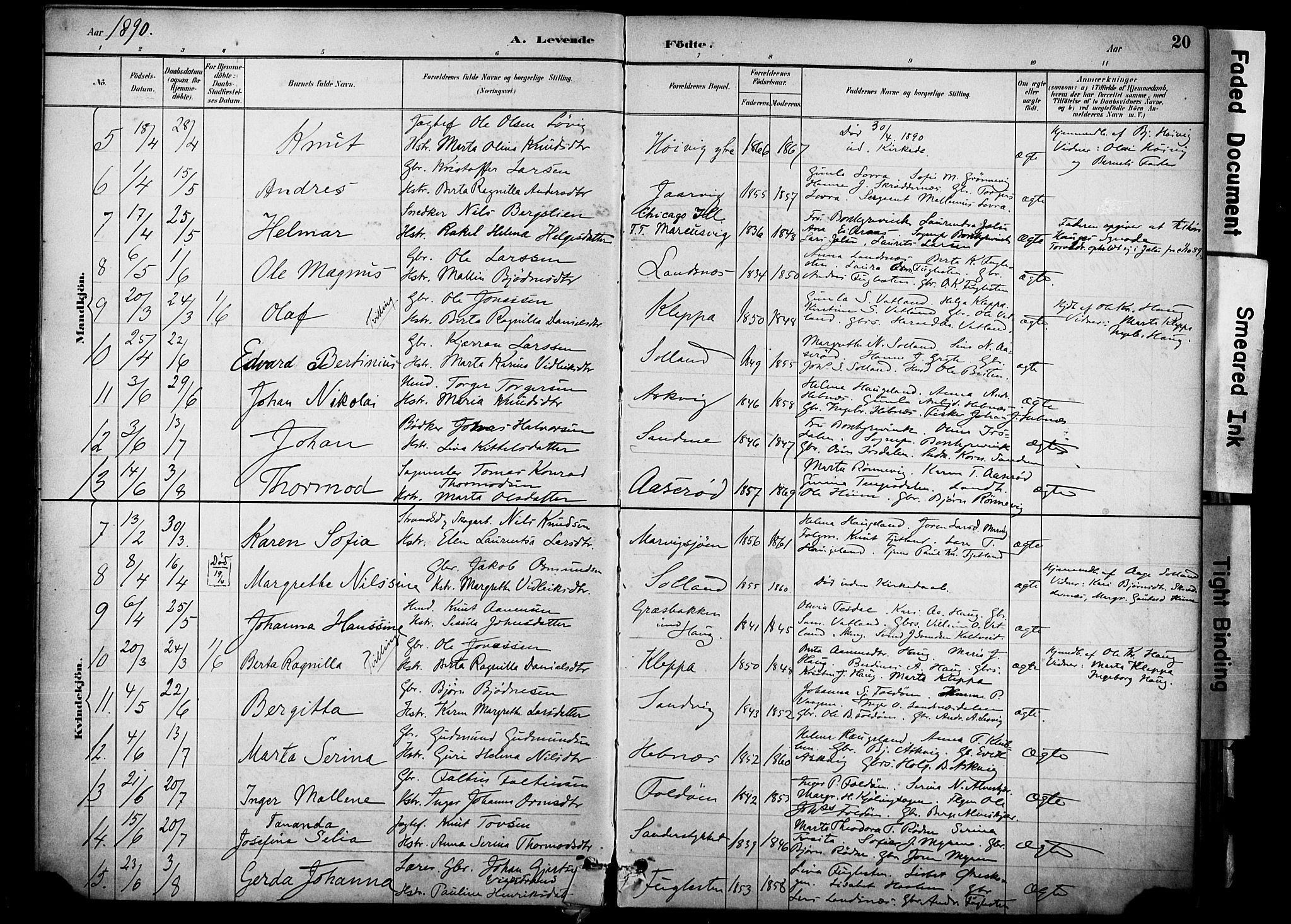 Jelsa sokneprestkontor, AV/SAST-A-101842/01/IV: Parish register (official) no. A 10, 1884-1906, p. 20