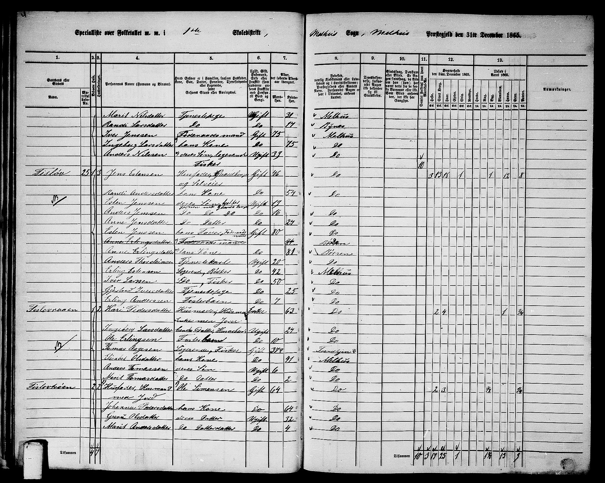 RA, 1865 census for Melhus, 1865, p. 30