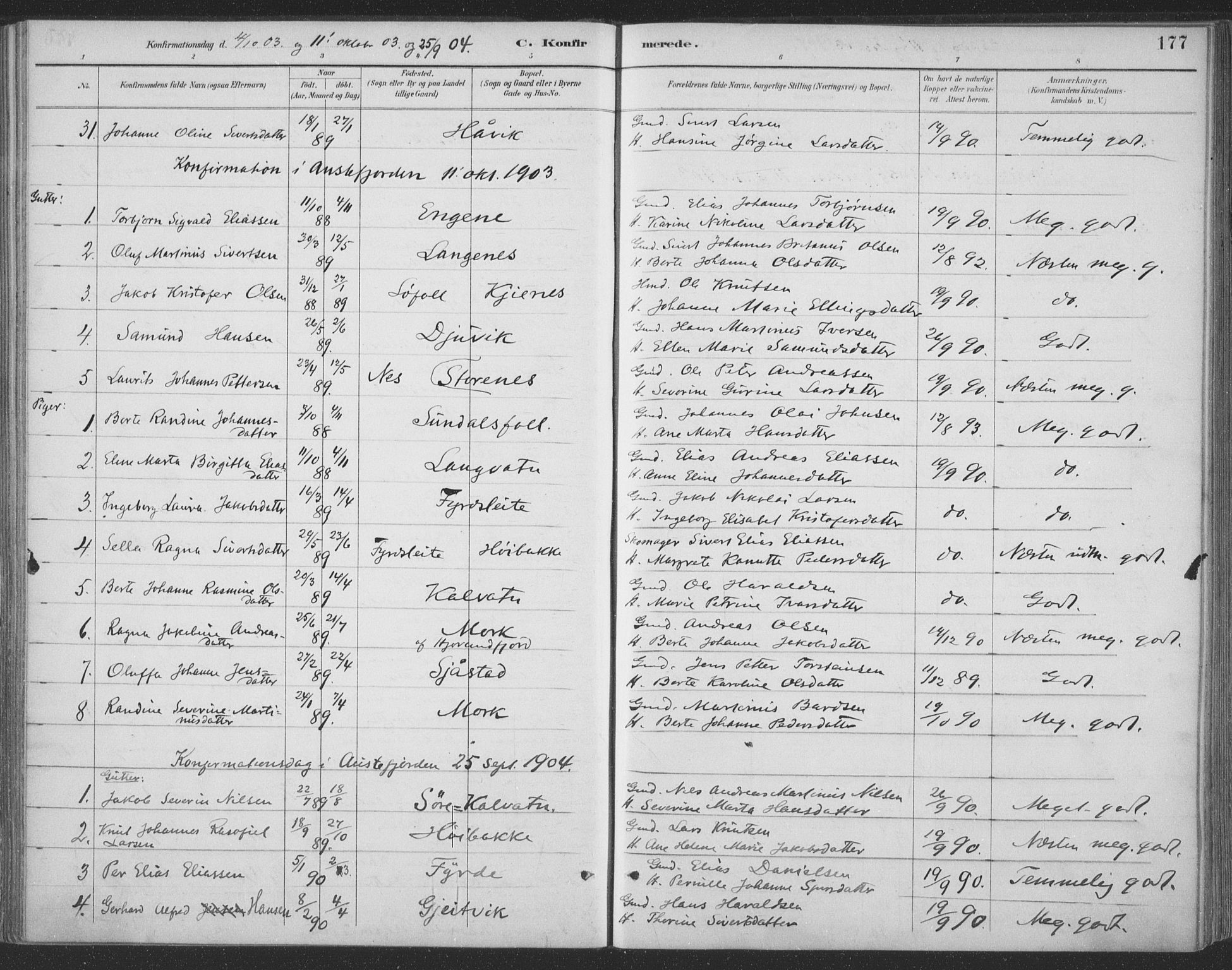 Ministerialprotokoller, klokkerbøker og fødselsregistre - Møre og Romsdal, AV/SAT-A-1454/511/L0142: Parish register (official) no. 511A09, 1891-1905, p. 177