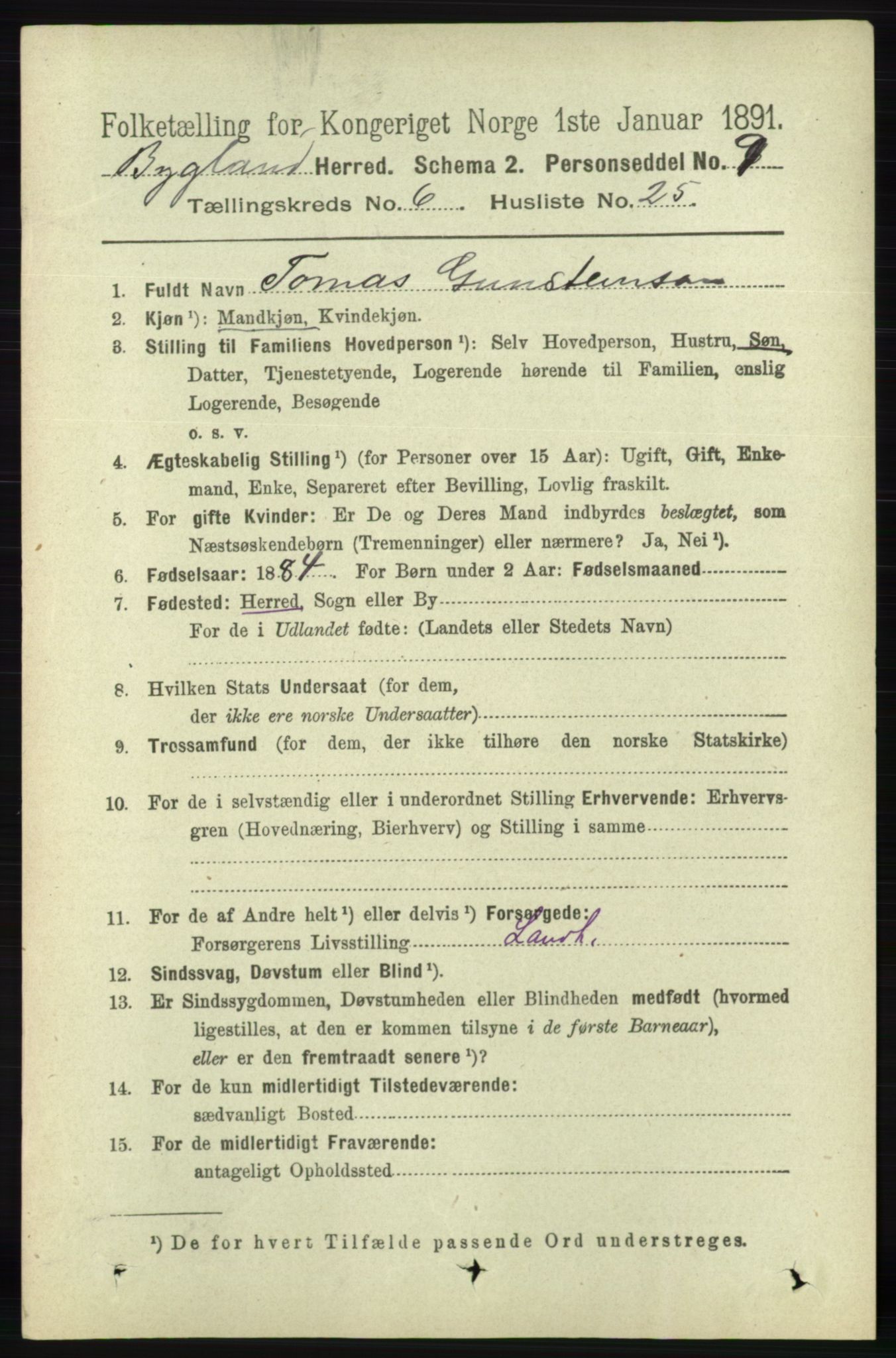 RA, 1891 census for 0938 Bygland, 1891, p. 1494