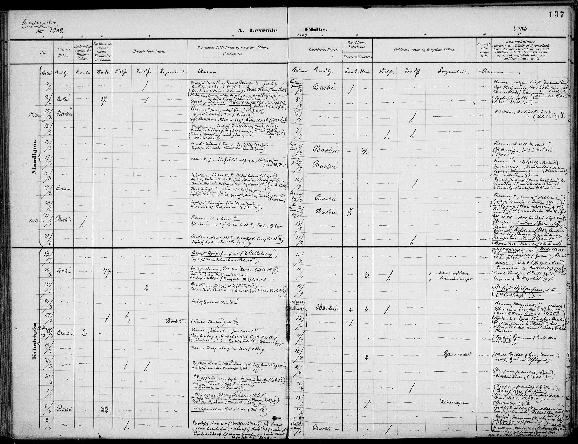 Barbu sokneprestkontor, AV/SAK-1111-0003/F/Fa/L0005: Parish register (official) no. A 5, 1899-1909, p. 137