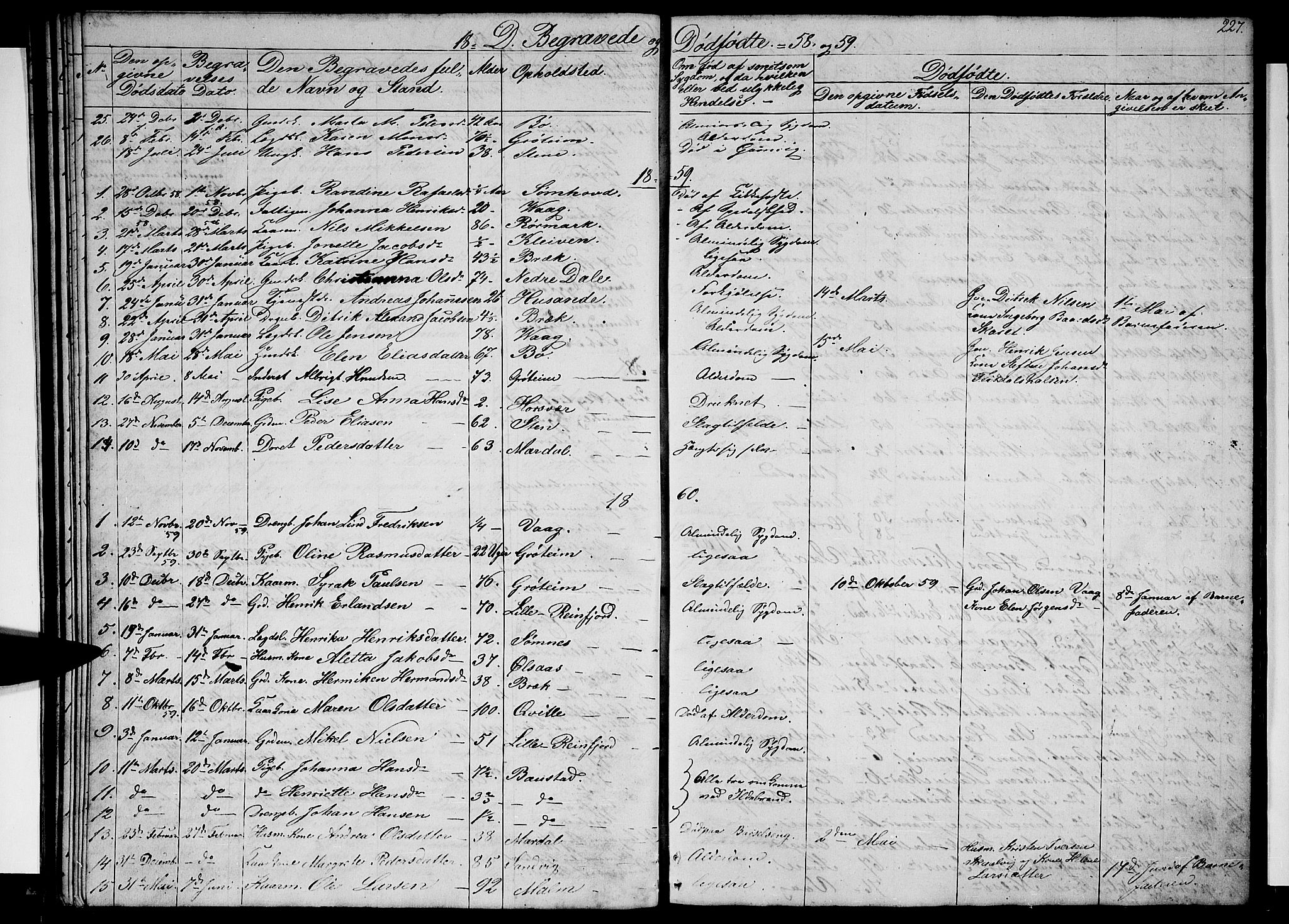 Ministerialprotokoller, klokkerbøker og fødselsregistre - Nordland, AV/SAT-A-1459/812/L0187: Parish register (copy) no. 812C05, 1850-1883, p. 227