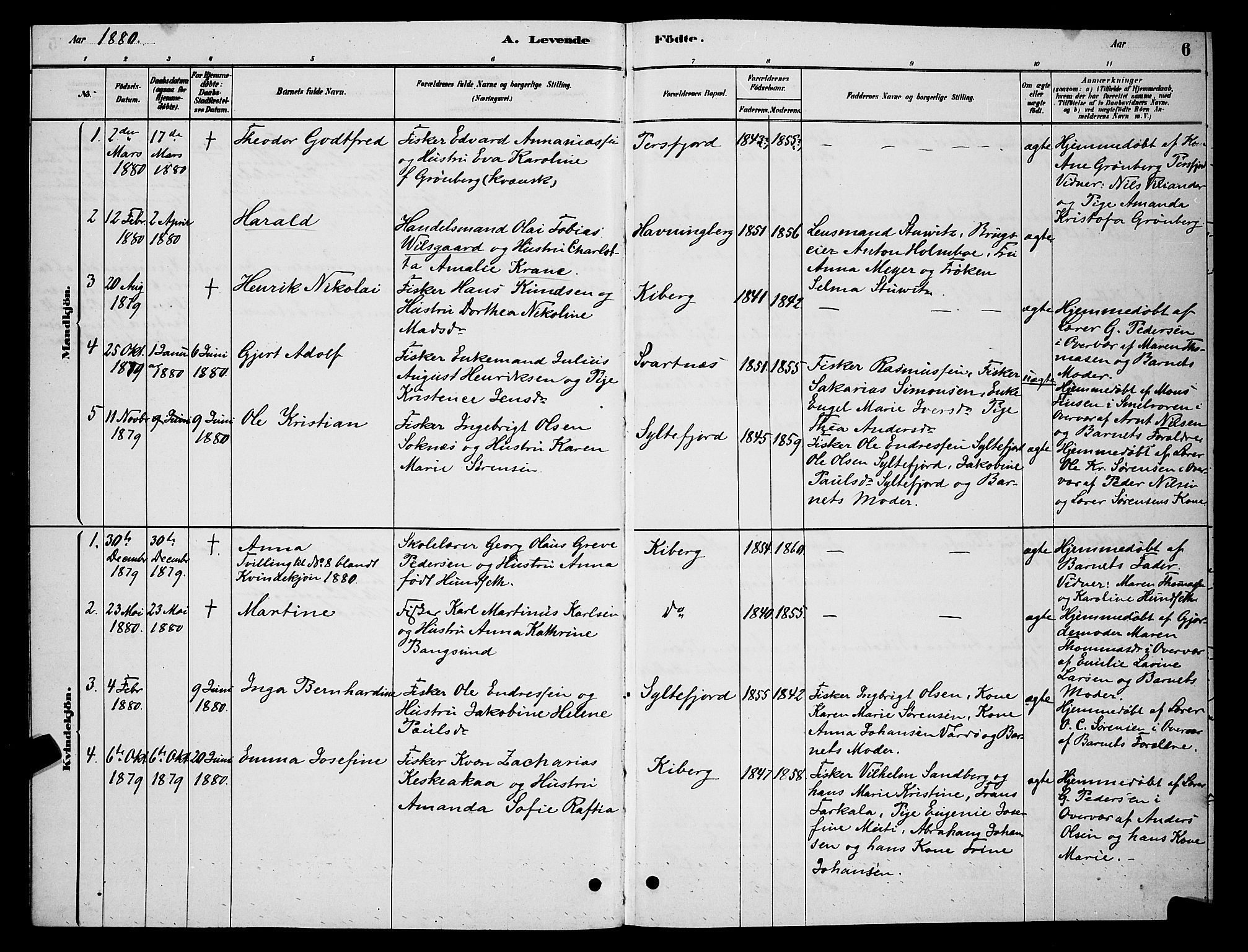 Vardø sokneprestkontor, SATØ/S-1332/H/Hb/L0006klokker: Parish register (copy) no. 6, 1879-1887, p. 6