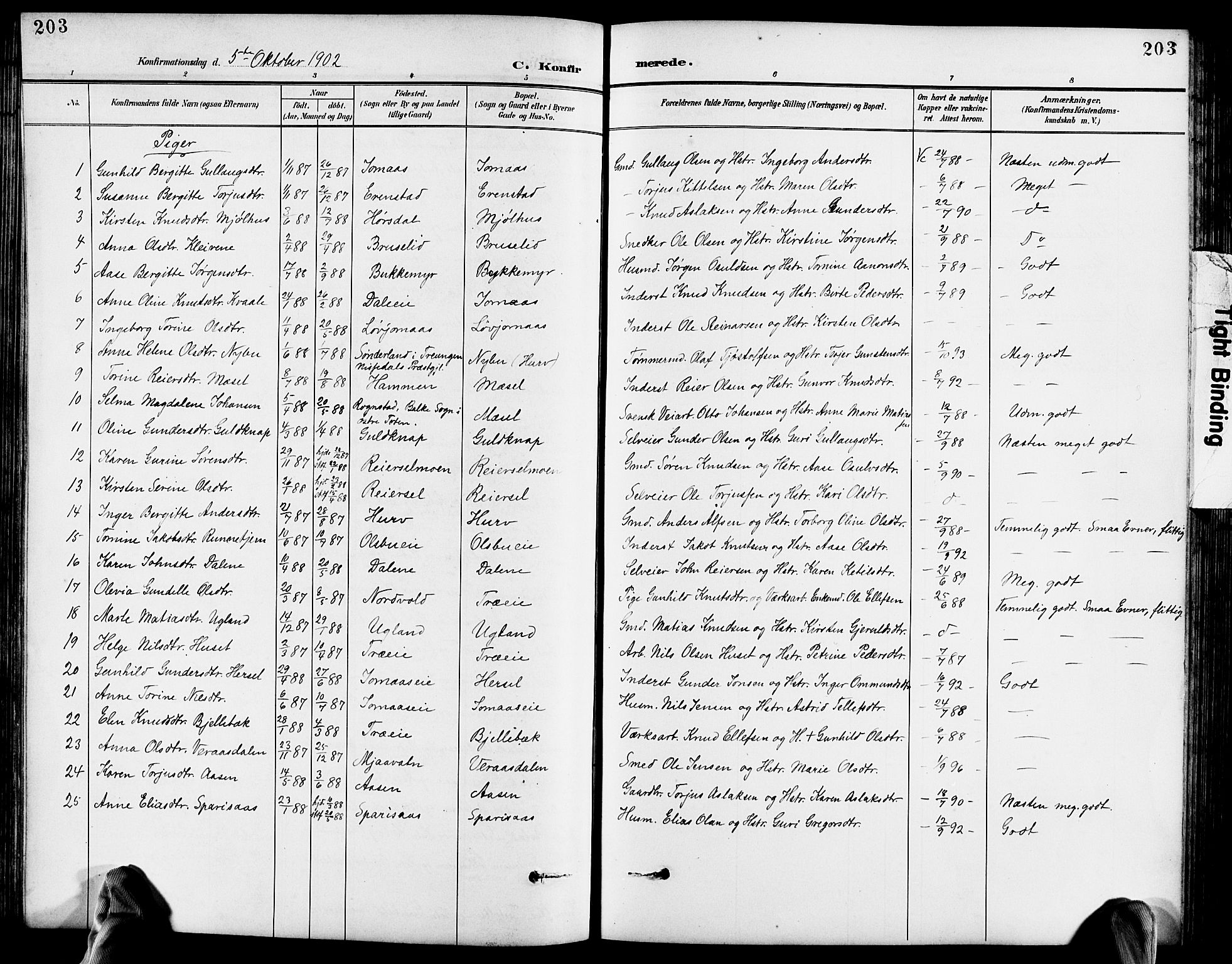 Froland sokneprestkontor, SAK/1111-0013/F/Fb/L0010: Parish register (copy) no. B 10, 1893-1920, p. 203